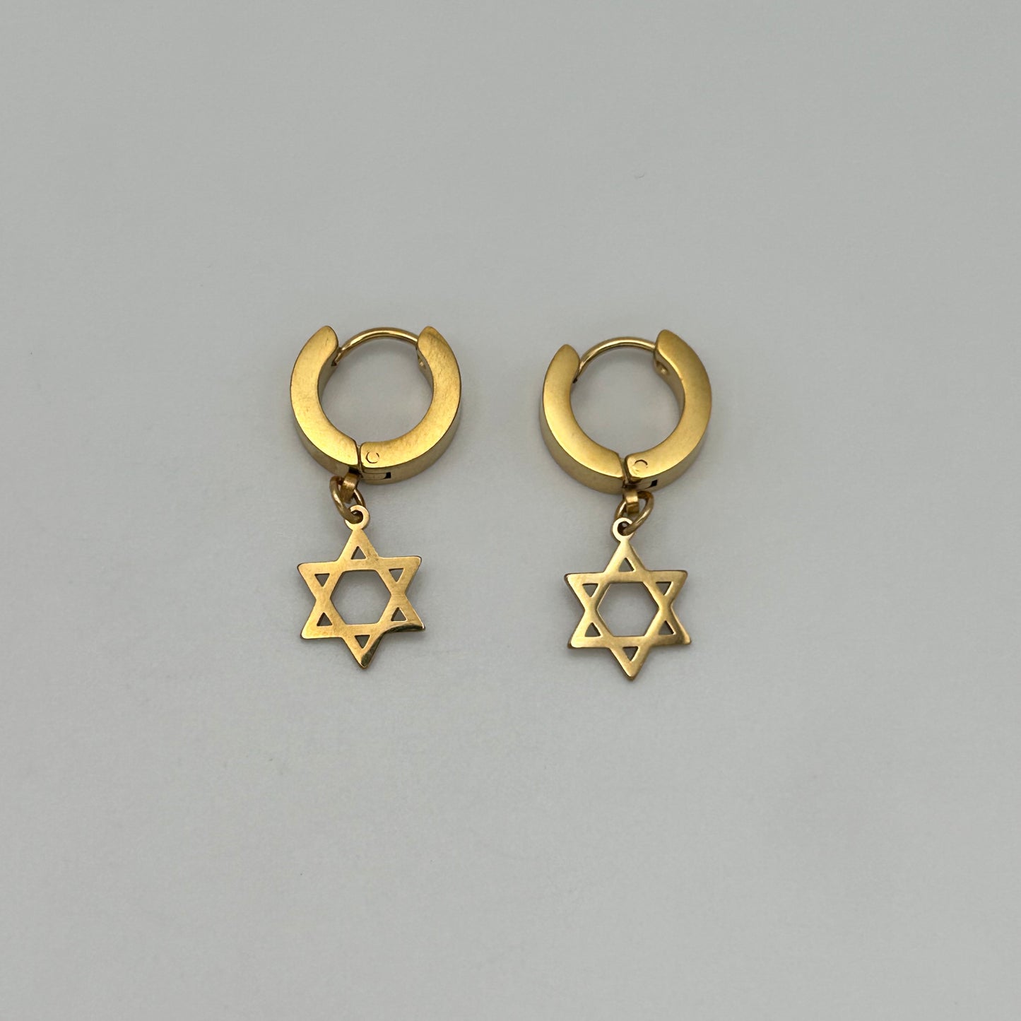 Huggie Earrings - Stainless Steel - HES-1031