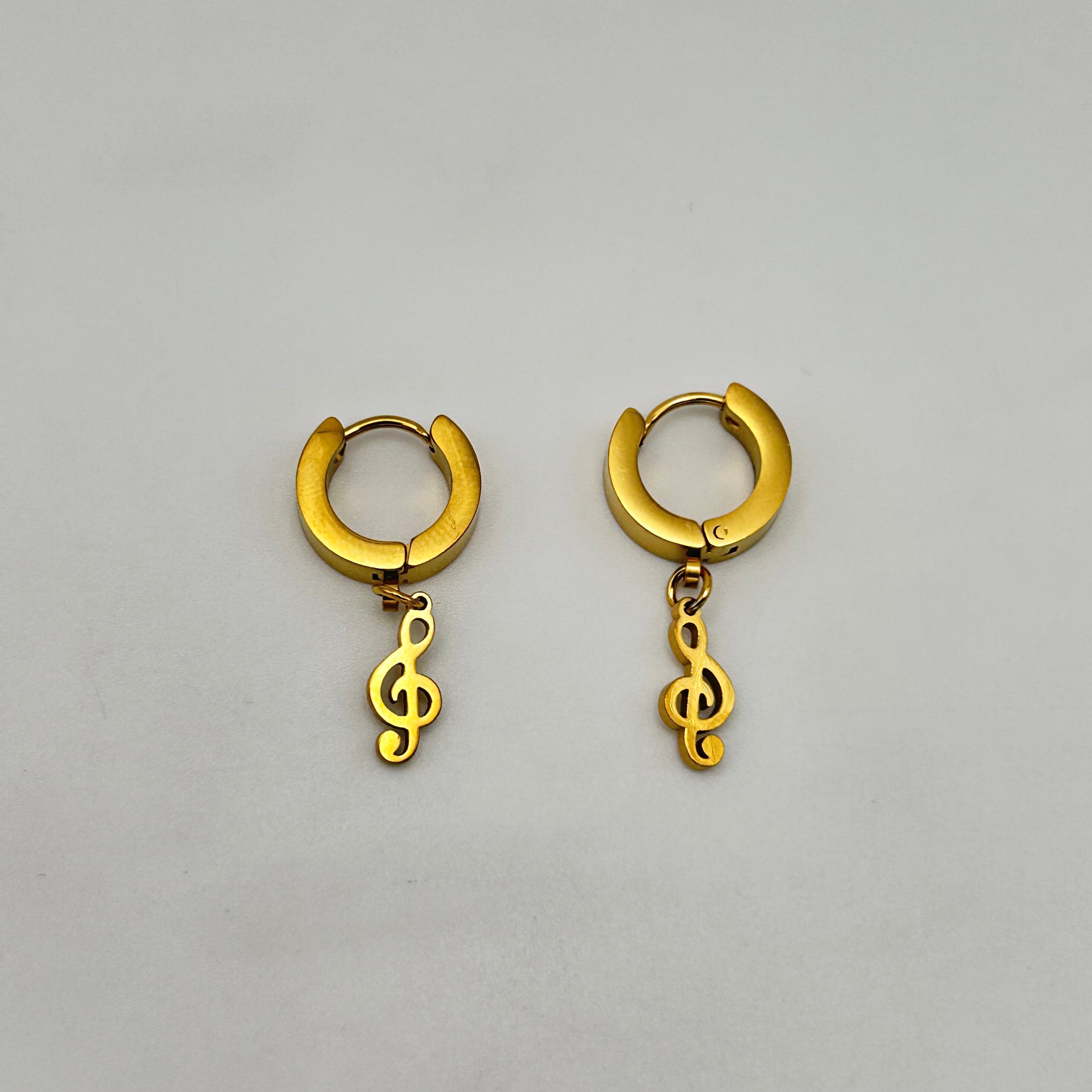 Huggie Earrings - Stainless Steel - HES-1164