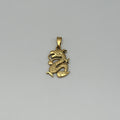 Pendant - Stainless Steel - PDS-4805