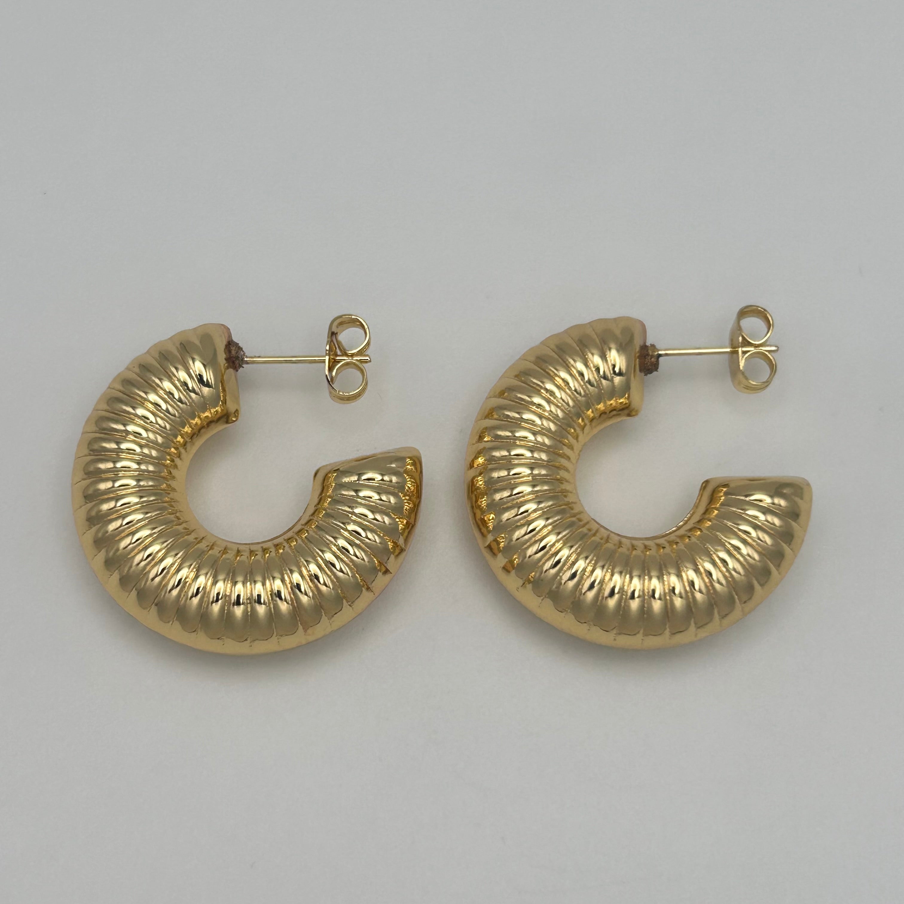Earring - Gold Plated - EAG-1008