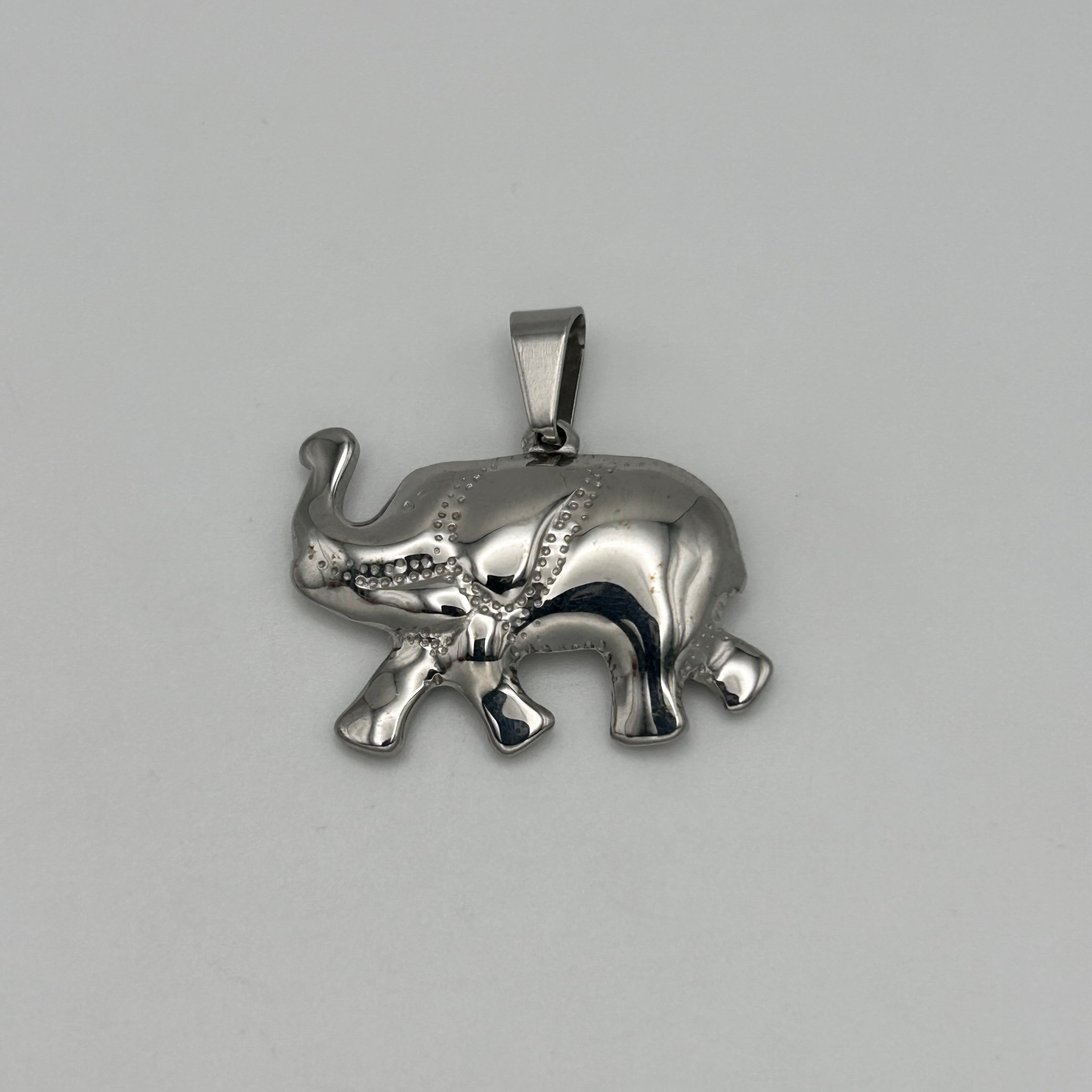 Pendant - Stainless Steel - PDS-3500