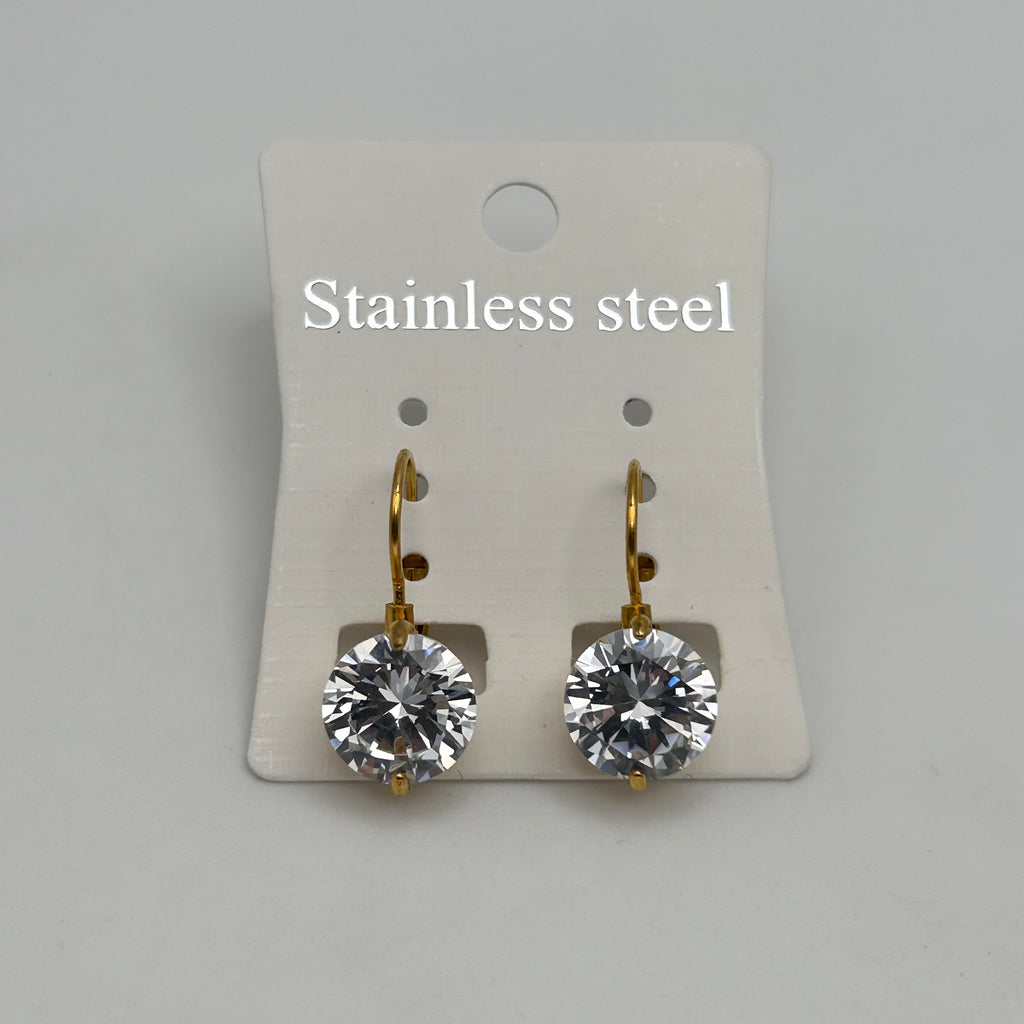 Leverback Earrings - Stainless Steel - LES-1003