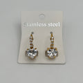 Leverback Earrings - Stainless Steel - LES-1004