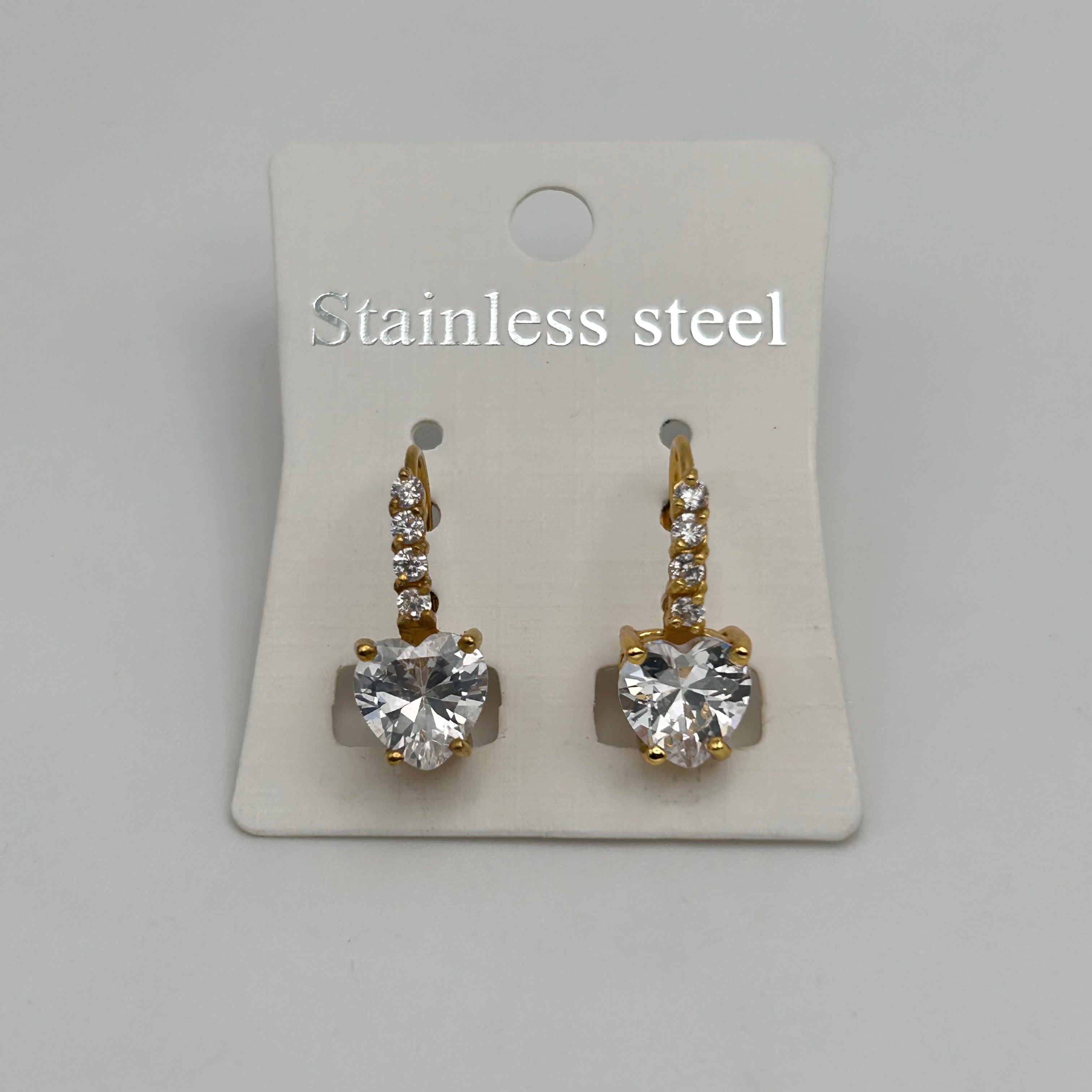 Leverback Earrings - Stainless Steel - LES-1004