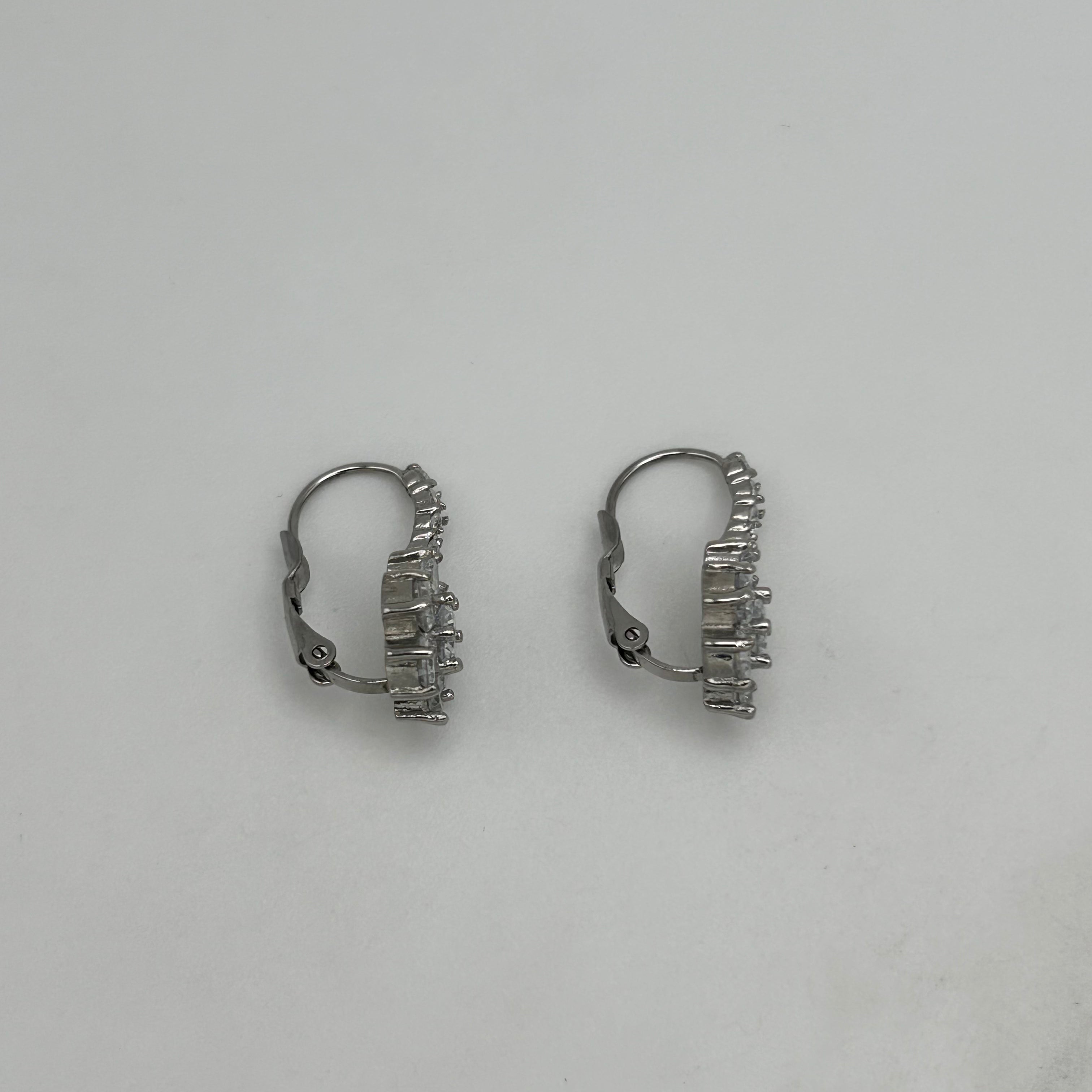Leverback Earrings - Stainless Steel - LES-1005