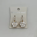 Leverback Earrings - Stainless Steel - LES-1006
