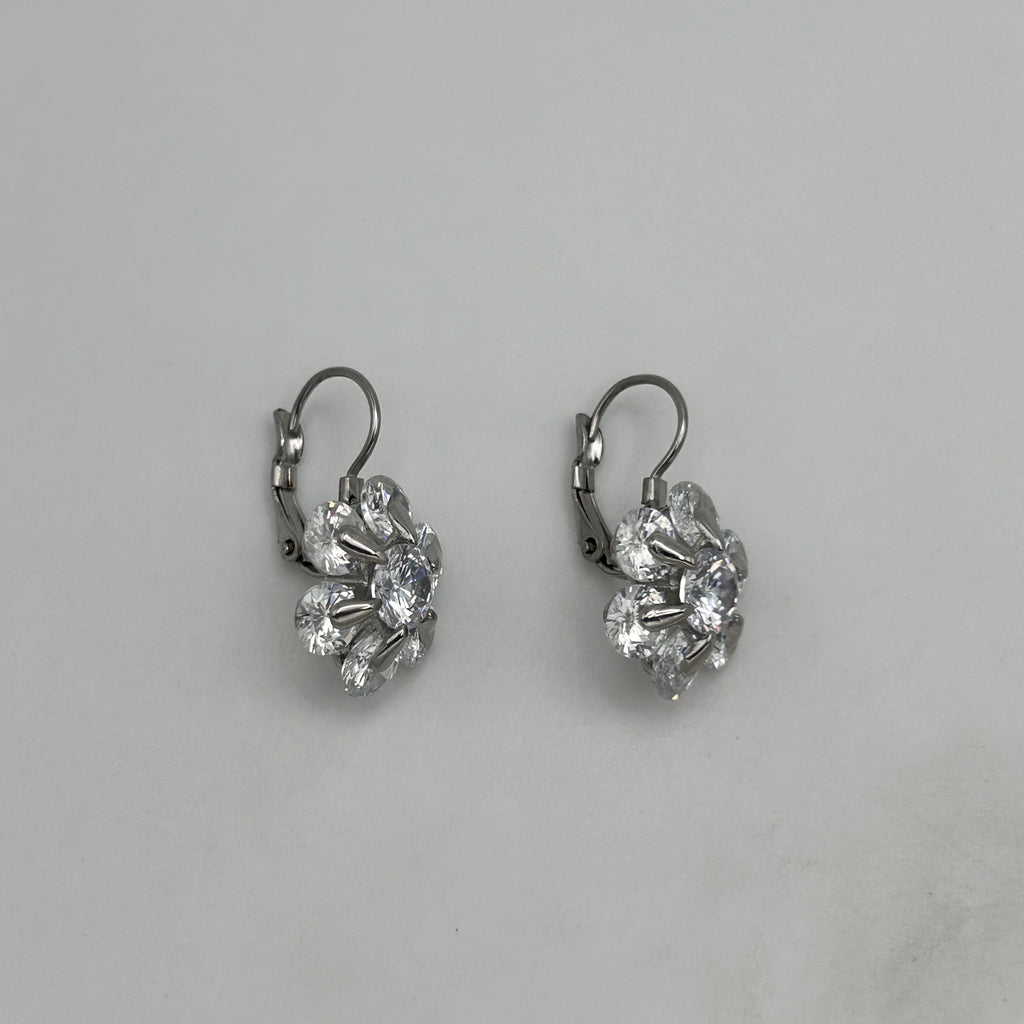 Leverback Earrings - Stainless Steel - LES-1008