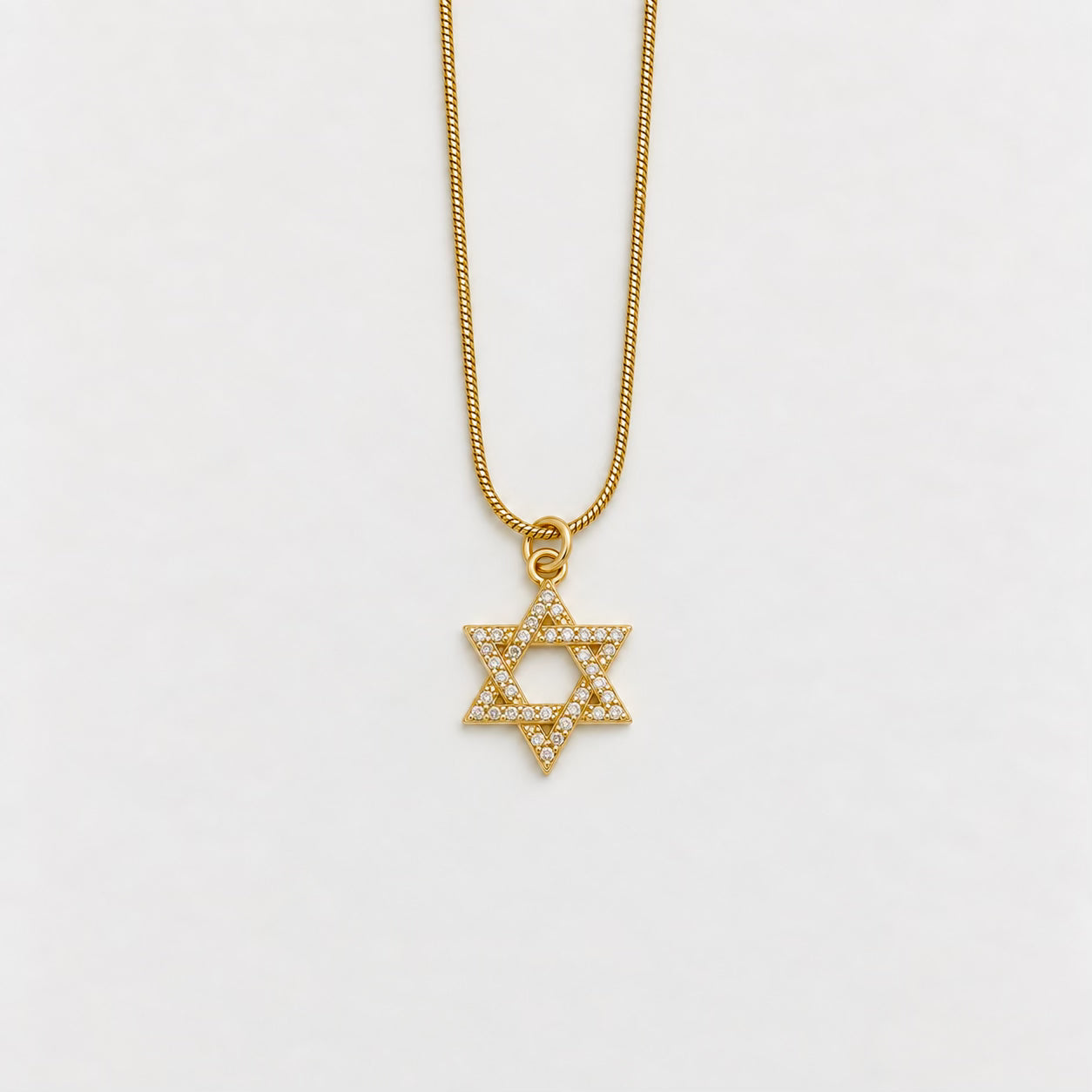 Necklace - Stainless Steel - NES-1266