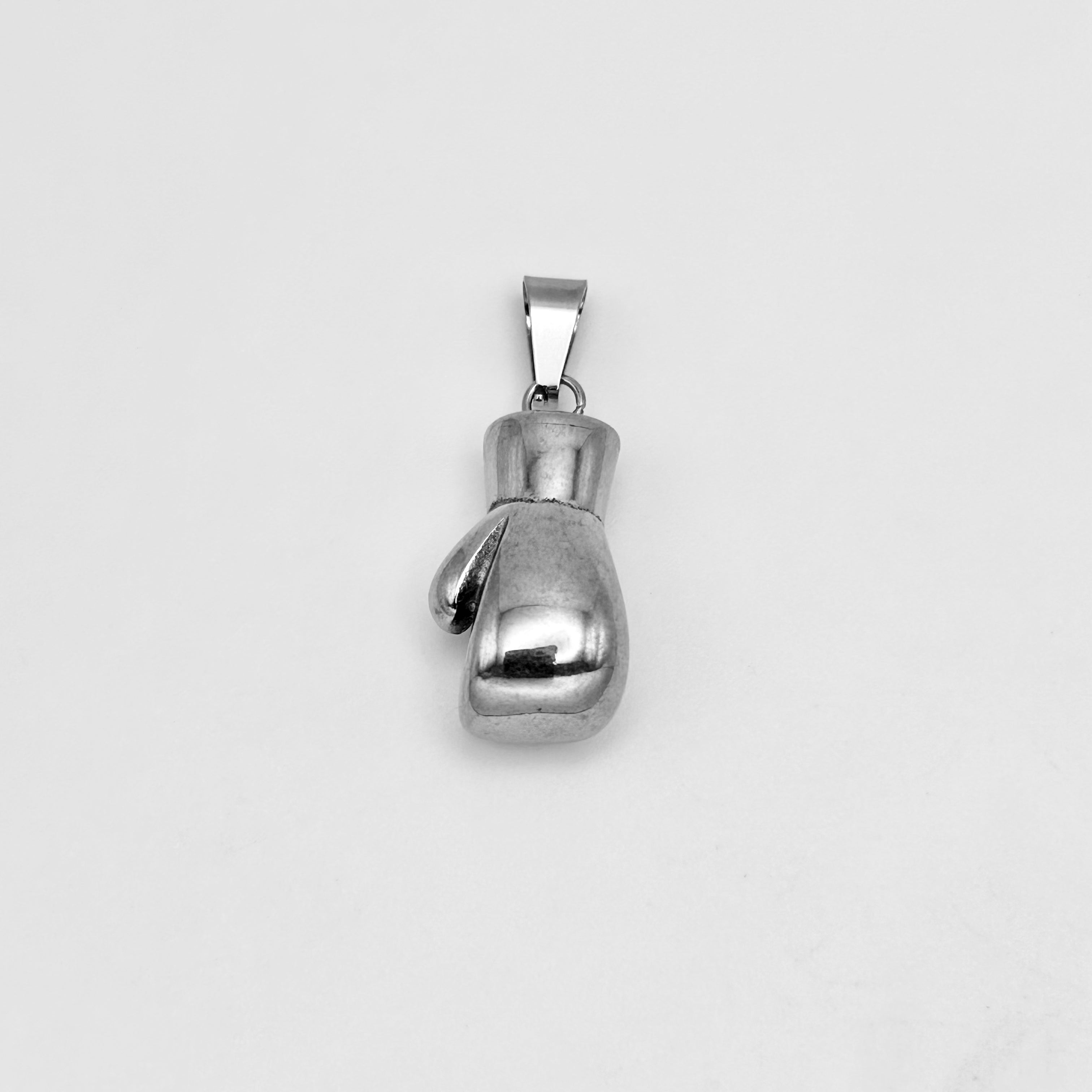 Pendant - Stainless Steel - PDS-1189