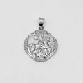 Pendant - Stainless Steel - PDS-1206