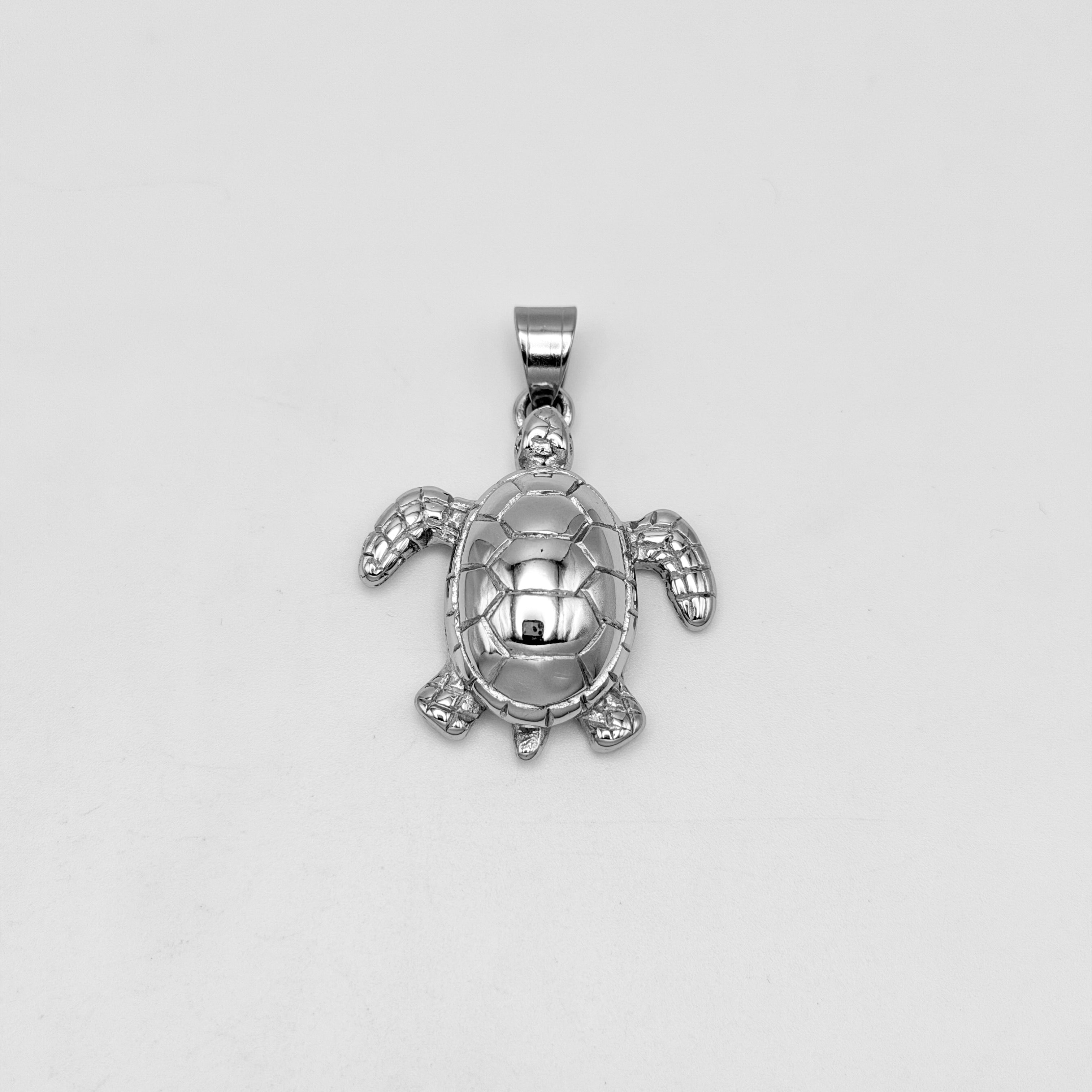 Pendant - Stainless Steel - PDS-1209