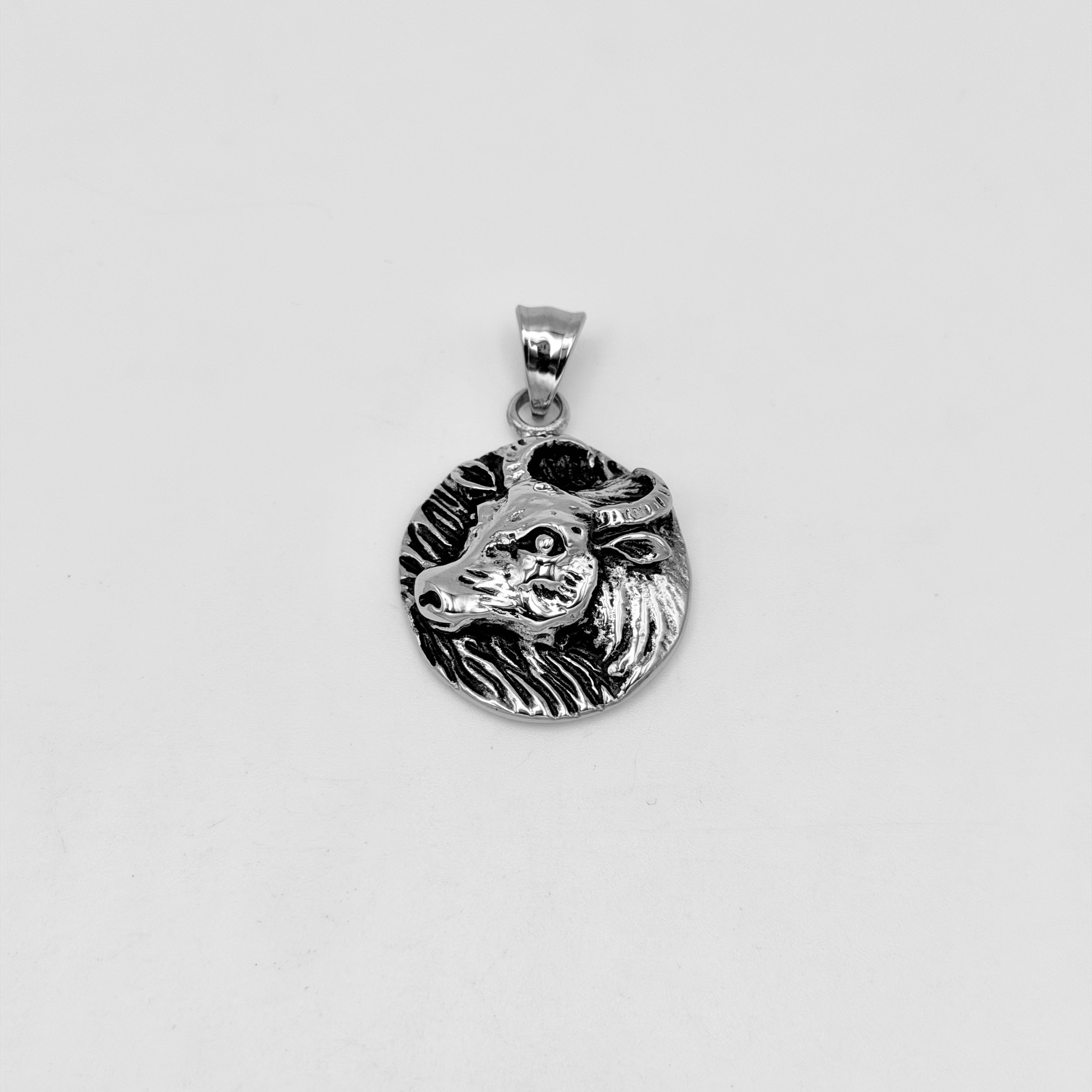 Pendant - Stainless Steel - PDS-1244