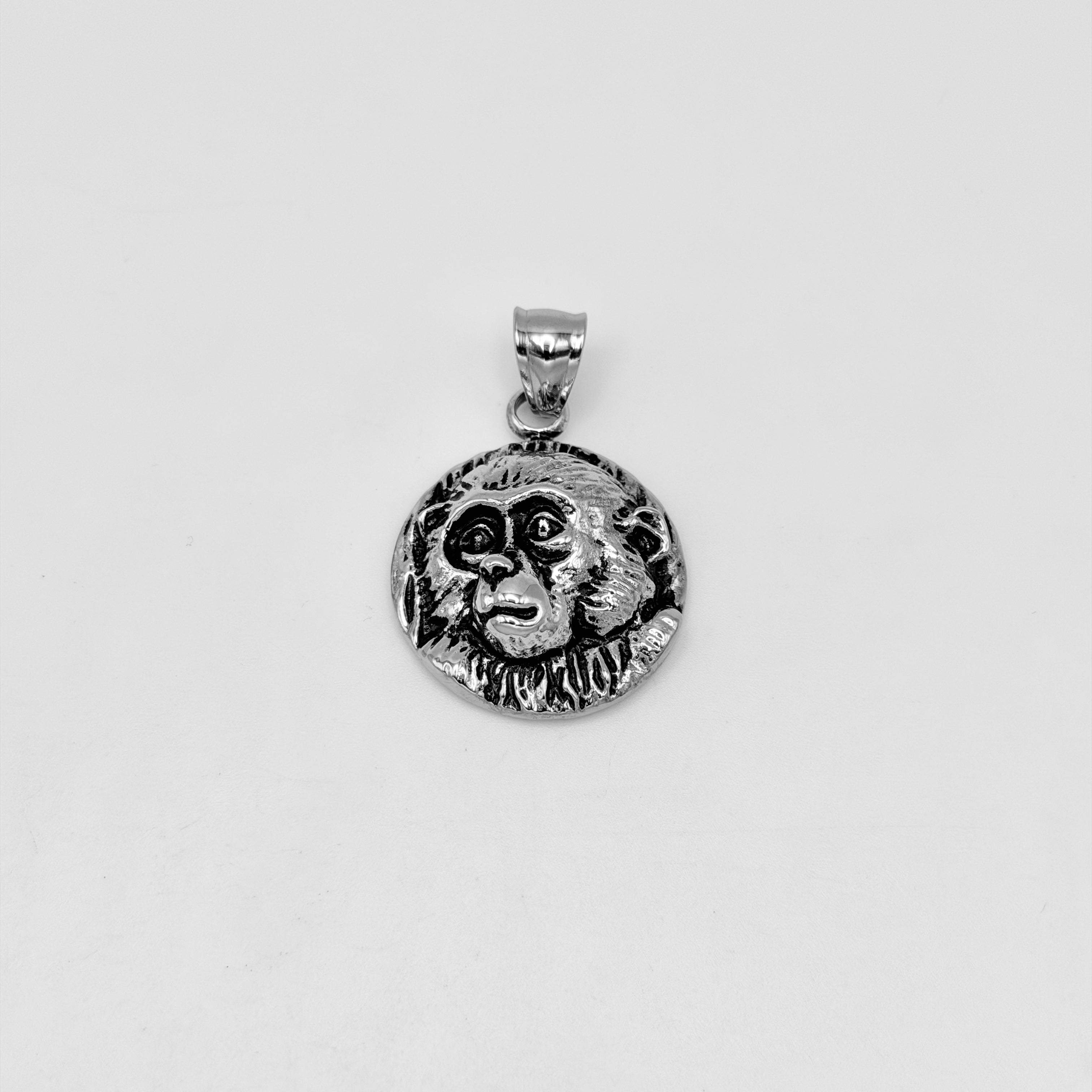 Pendant - Stainless Steel - PDS-1245
