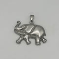 Pendant - Stainless Steel - PDS-1316