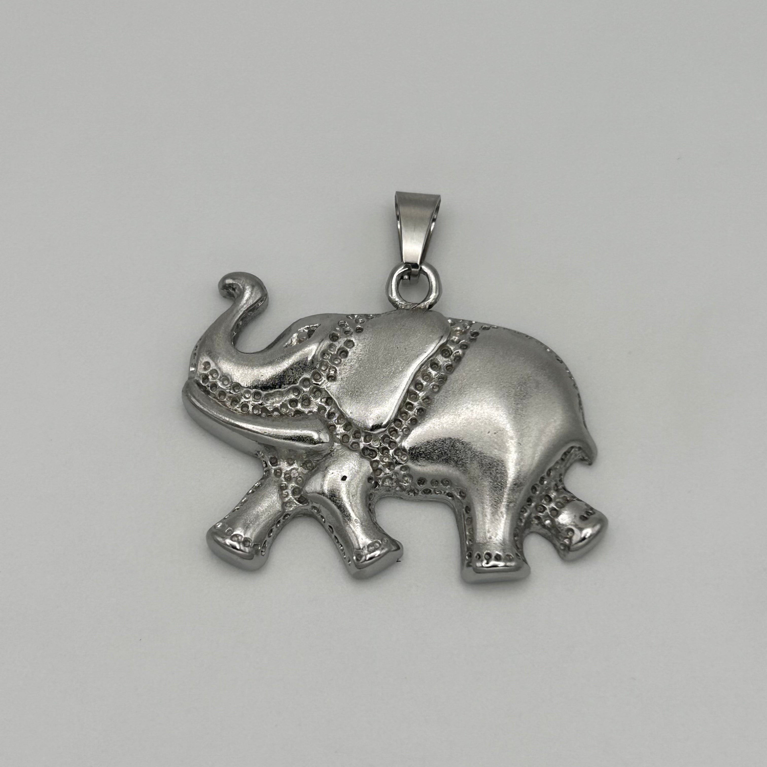 Pendant - Stainless Steel - PDS-1316