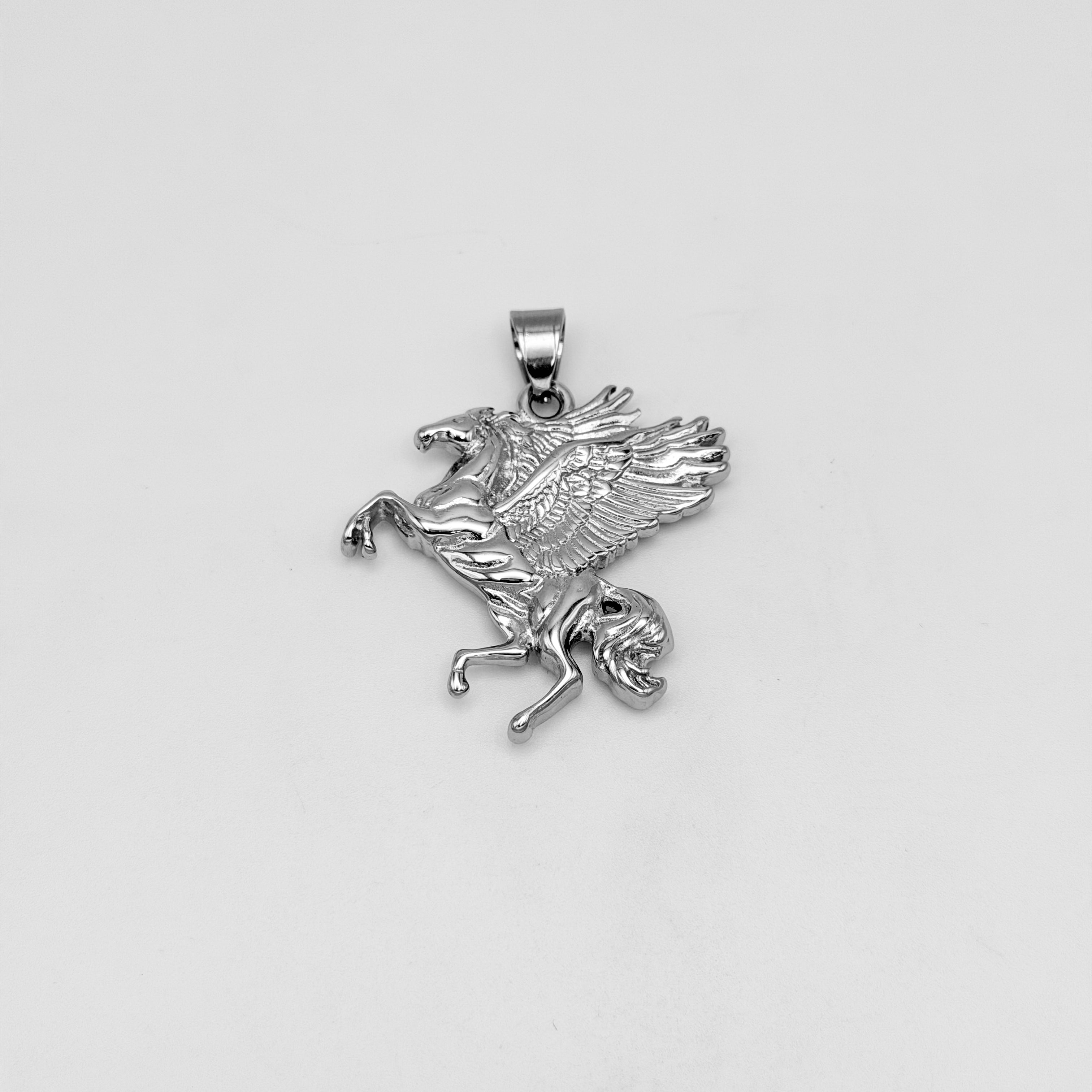 Pendant - Stainless Steel - PDS-1356
