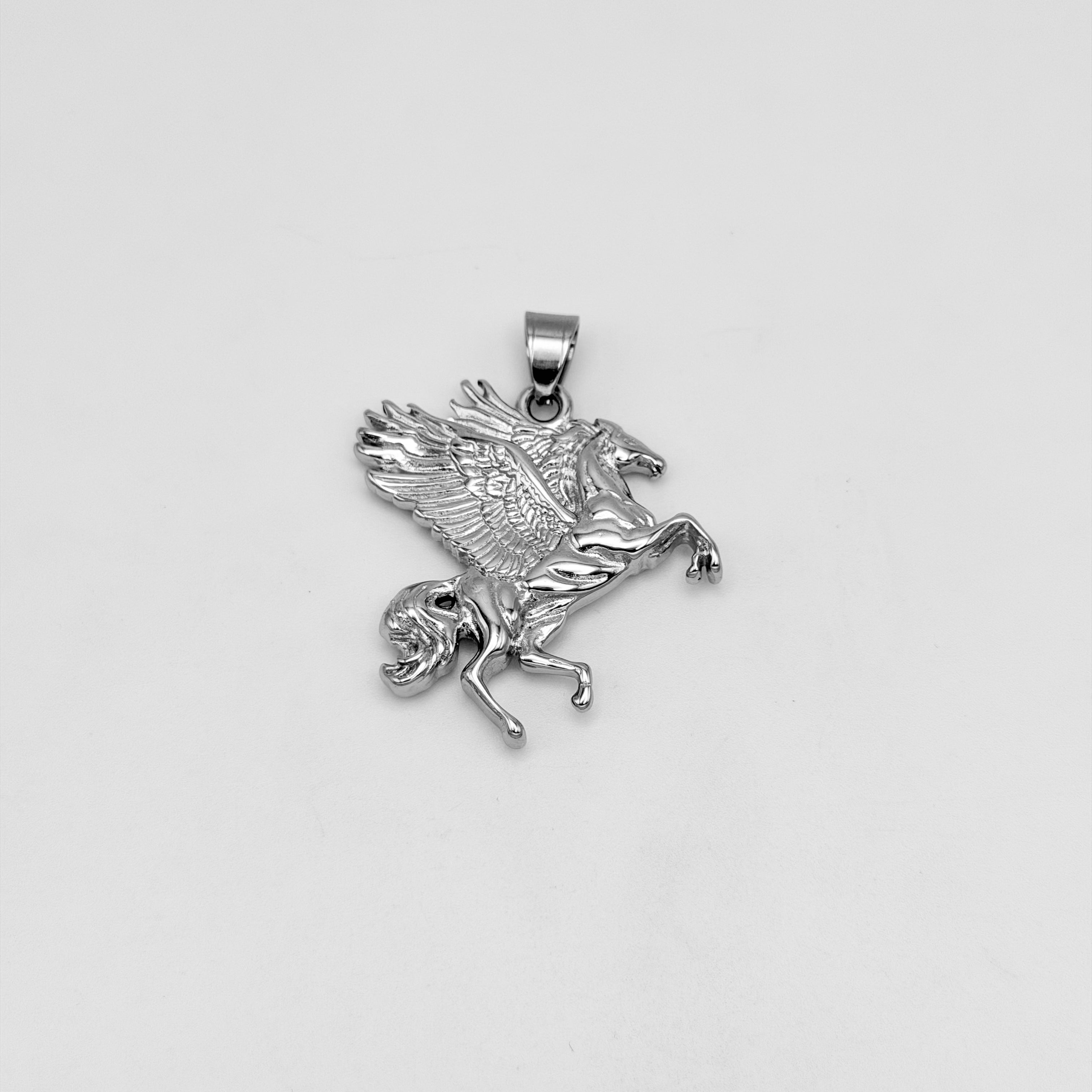 Pendant - Stainless Steel - PDS-1356