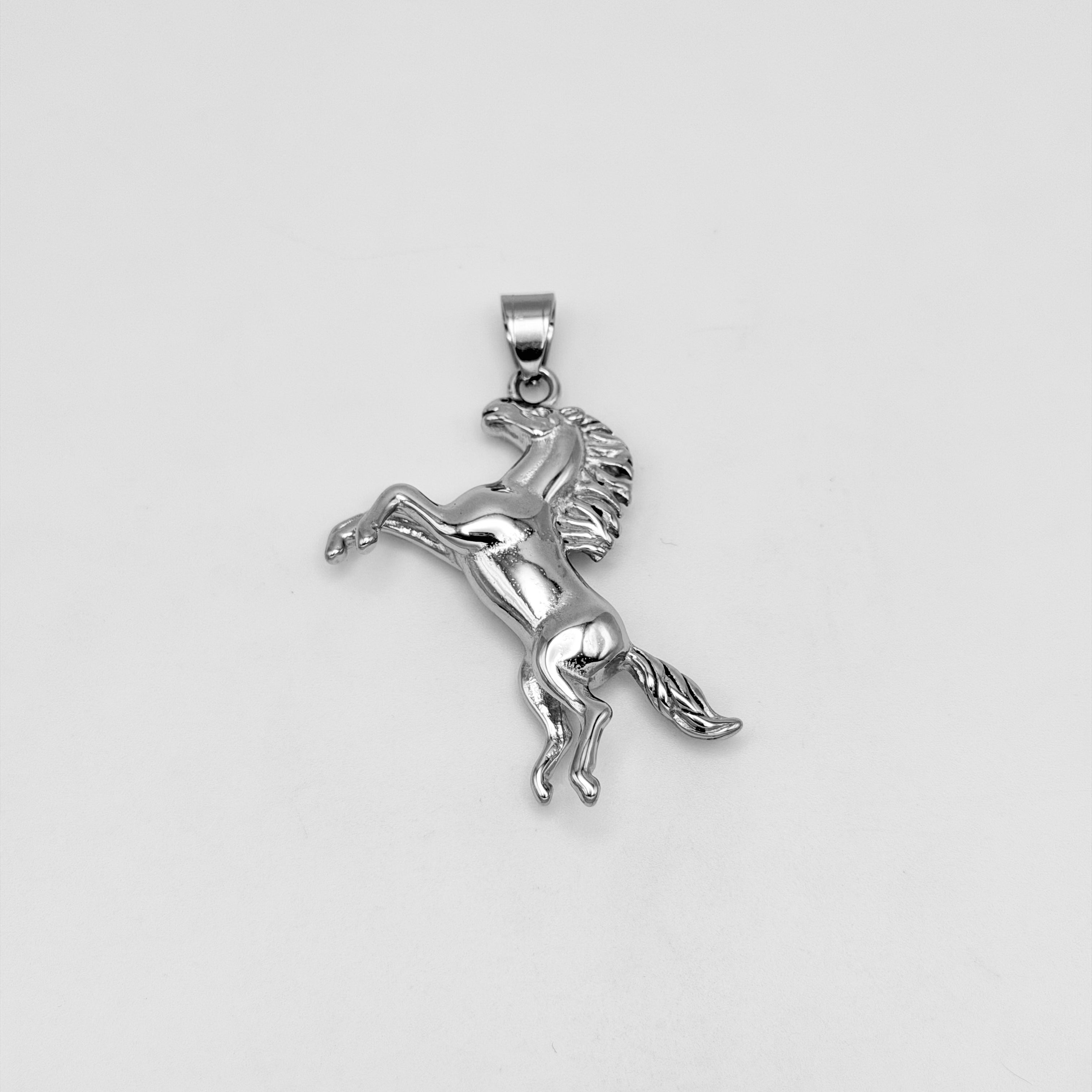Pendant - Stainless Steel - PDS-1357