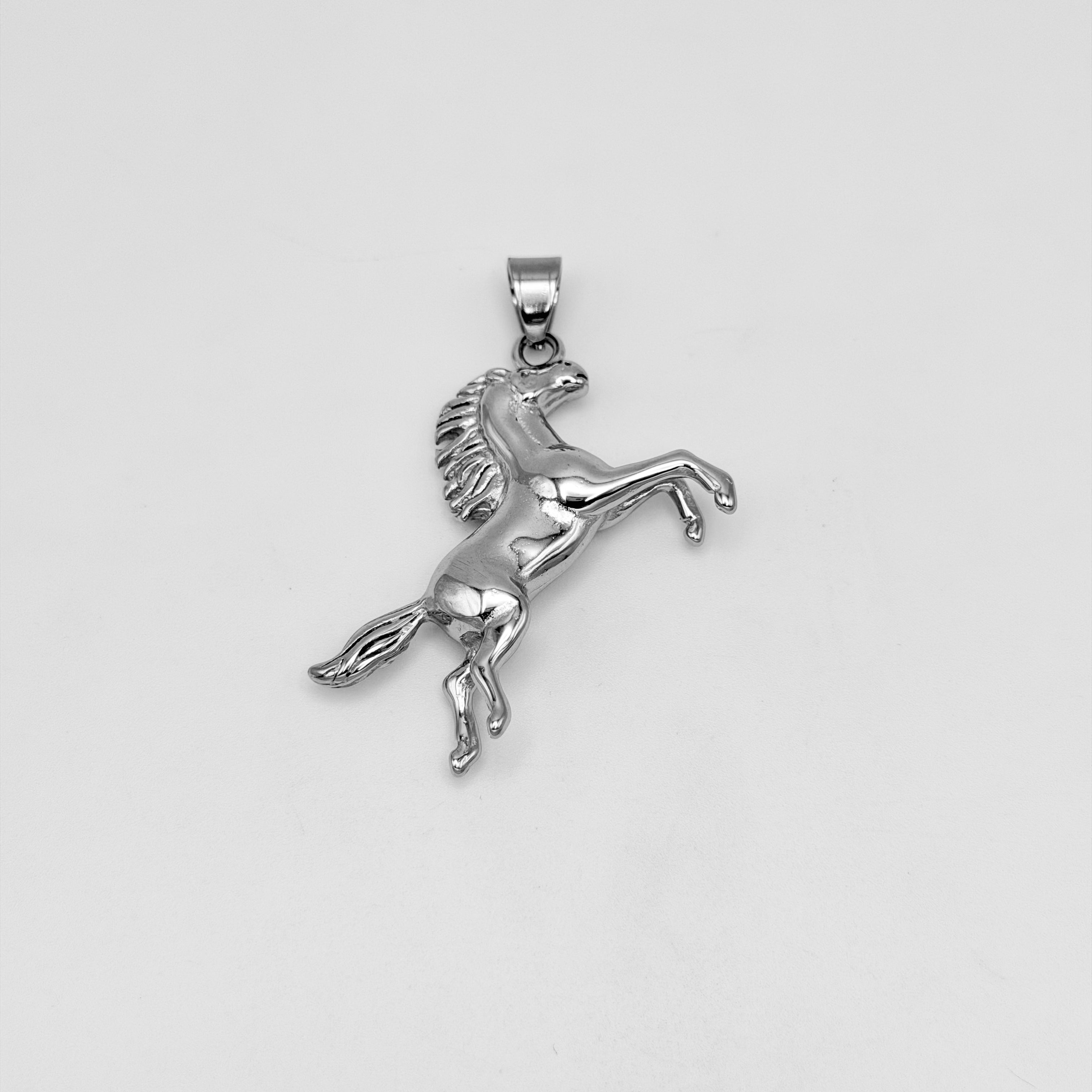 Pendant - Stainless Steel - PDS-1357