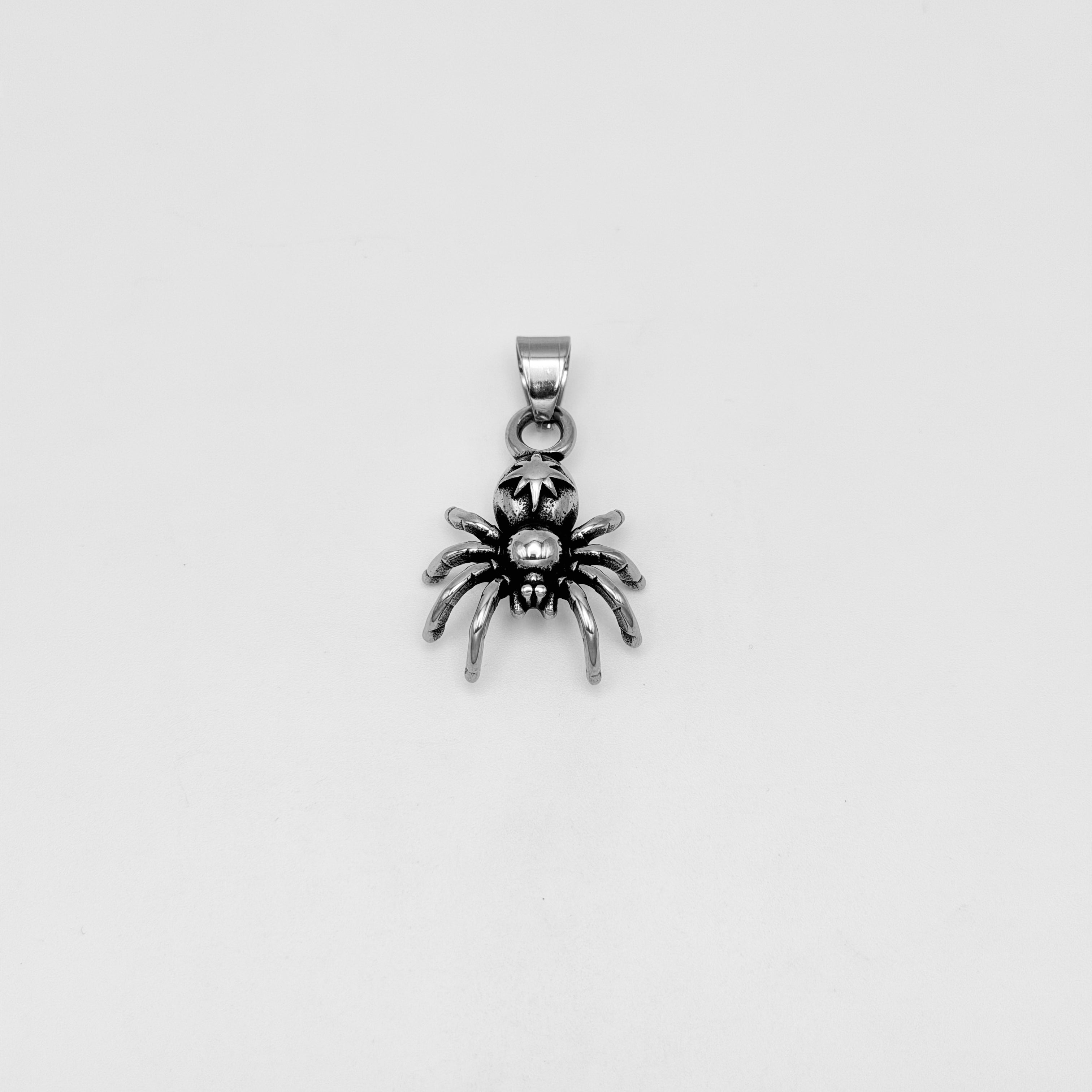Pendant - Stainless Steel - PDS-1359