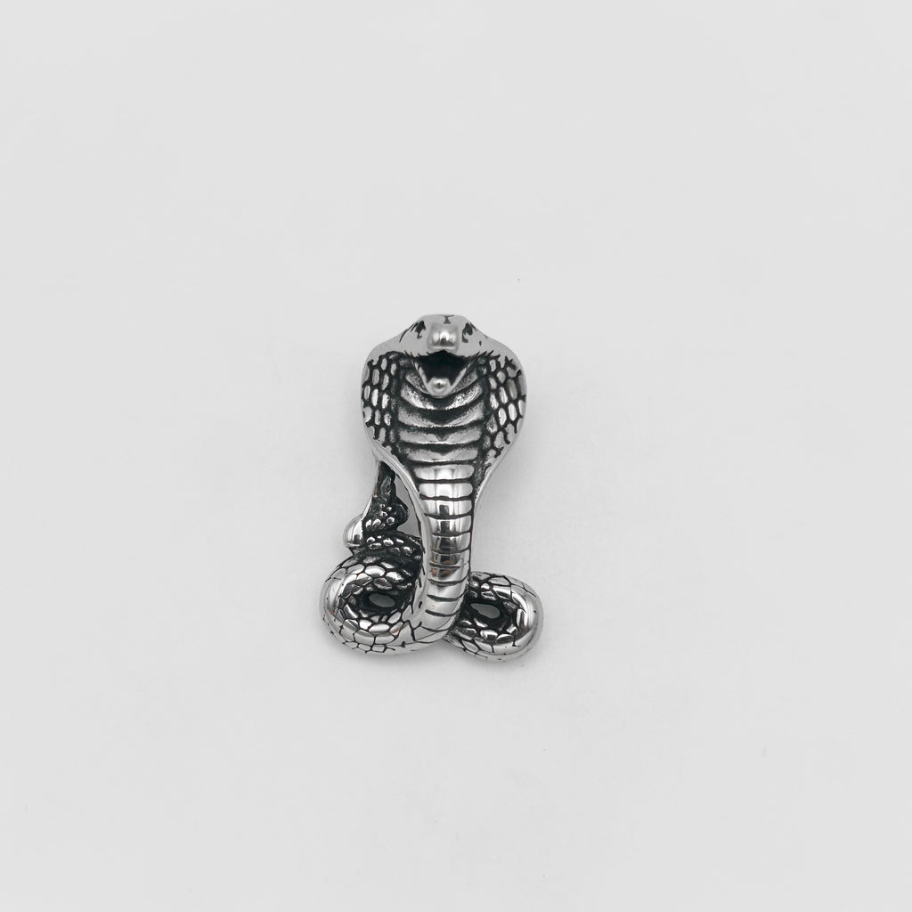 Pendant - Stainless Steel - PDS-1361