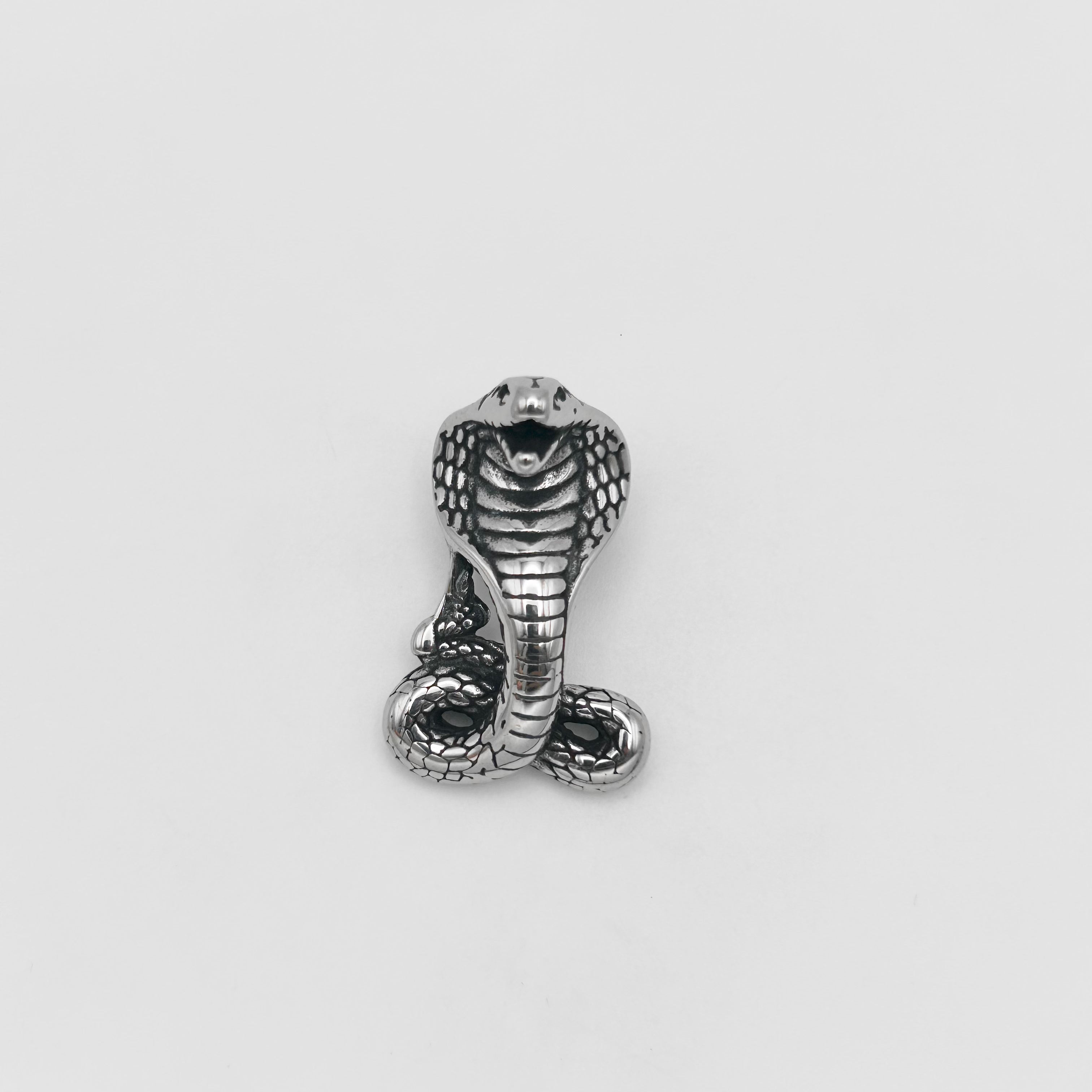 Pendant - Stainless Steel - PDS-1361