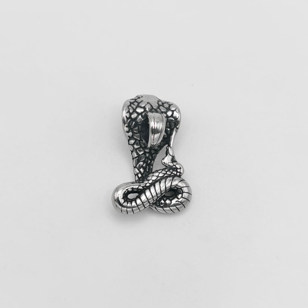 Pendant - Stainless Steel - PDS-1361