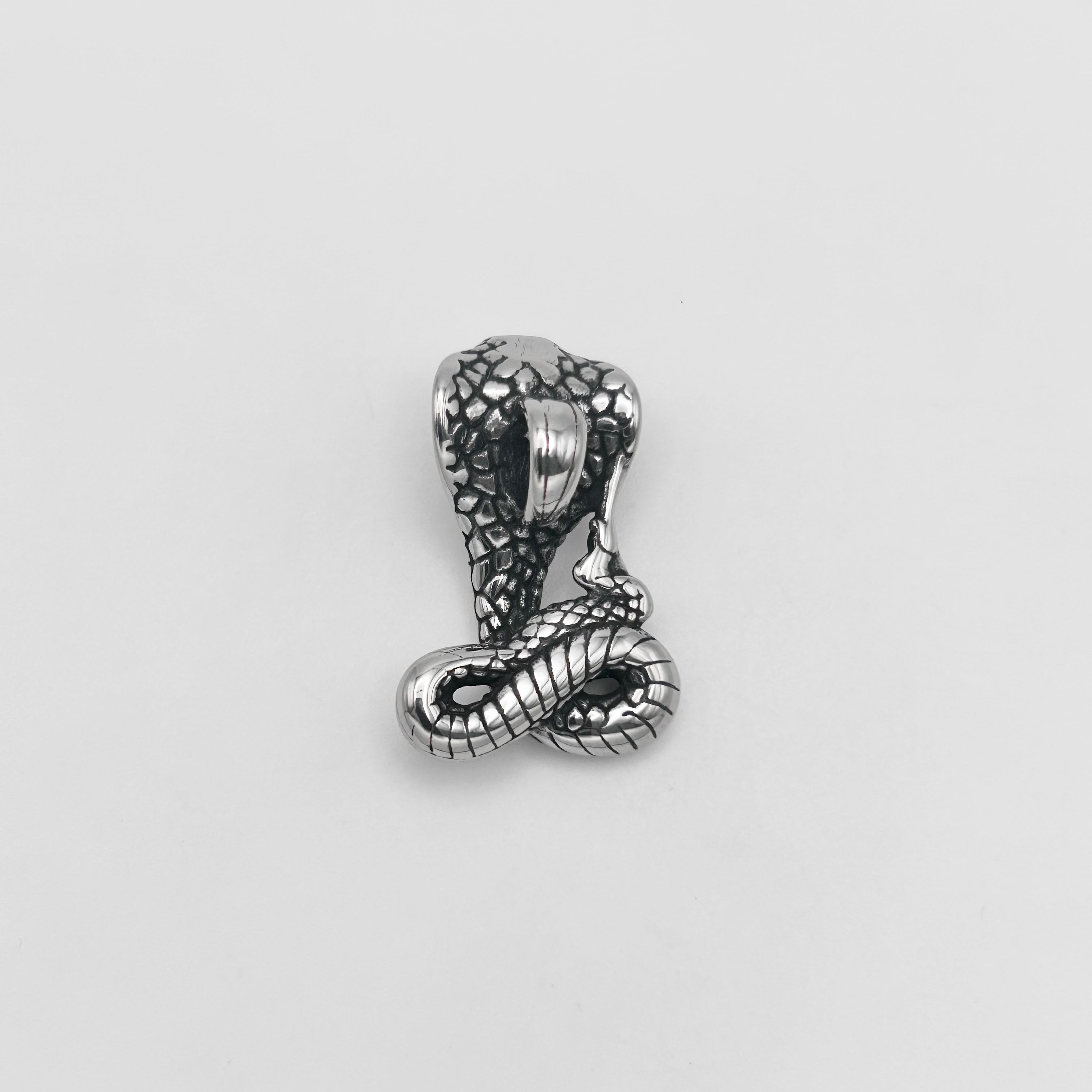Pendant - Stainless Steel - PDS-1361