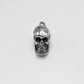 Pendant - Stainless Steel - PDS-1443