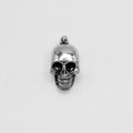 Pendant - Stainless Steel - PDS-1445