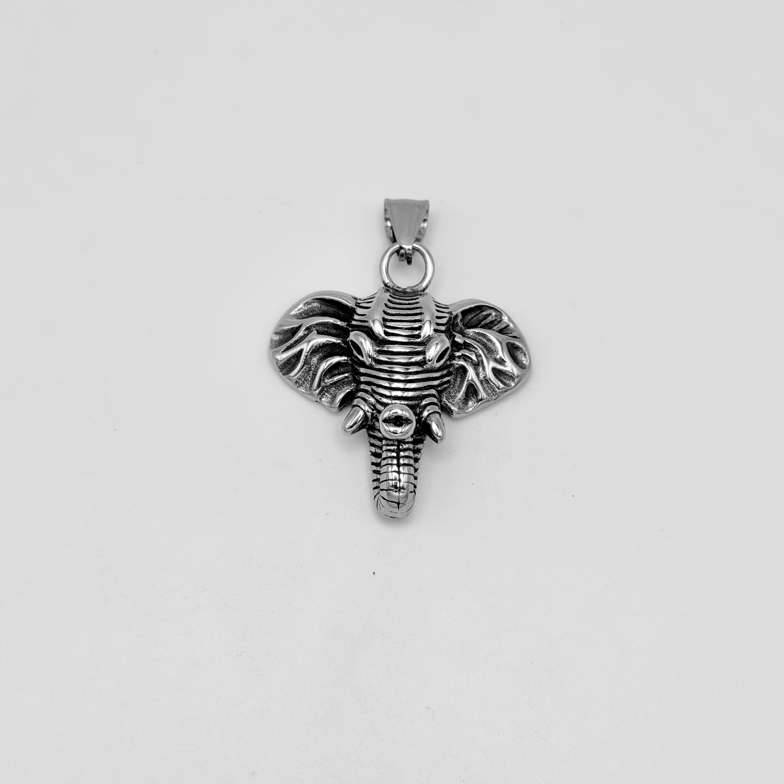 Pendant - Stainless Steel - PDS-1497