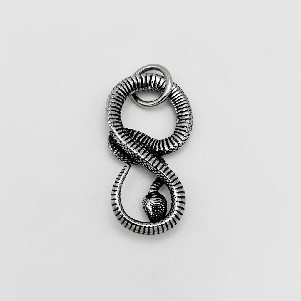 Pendant - Stainless Steel - PDS-1801