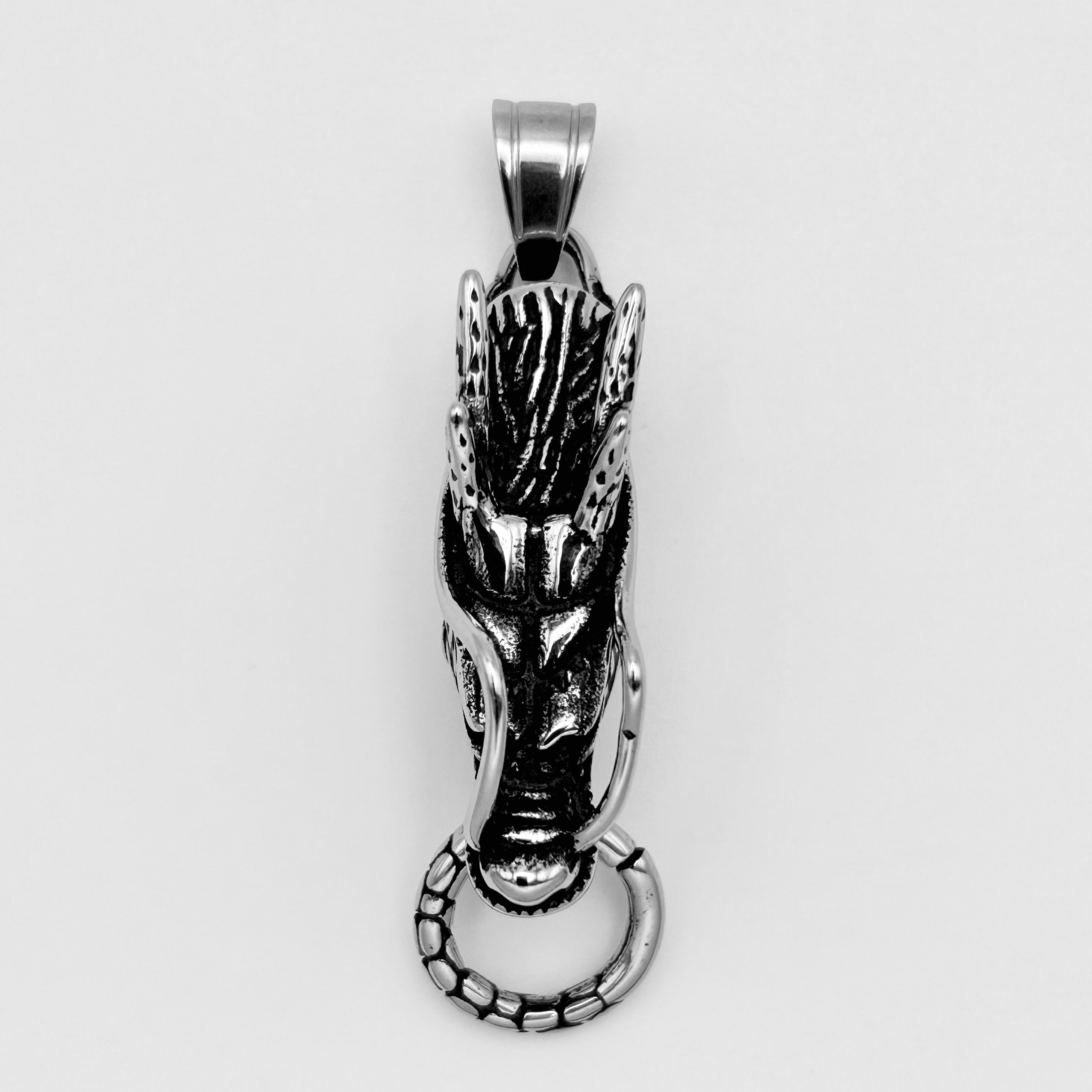 Pendant - Stainless Steel - PDS-2013