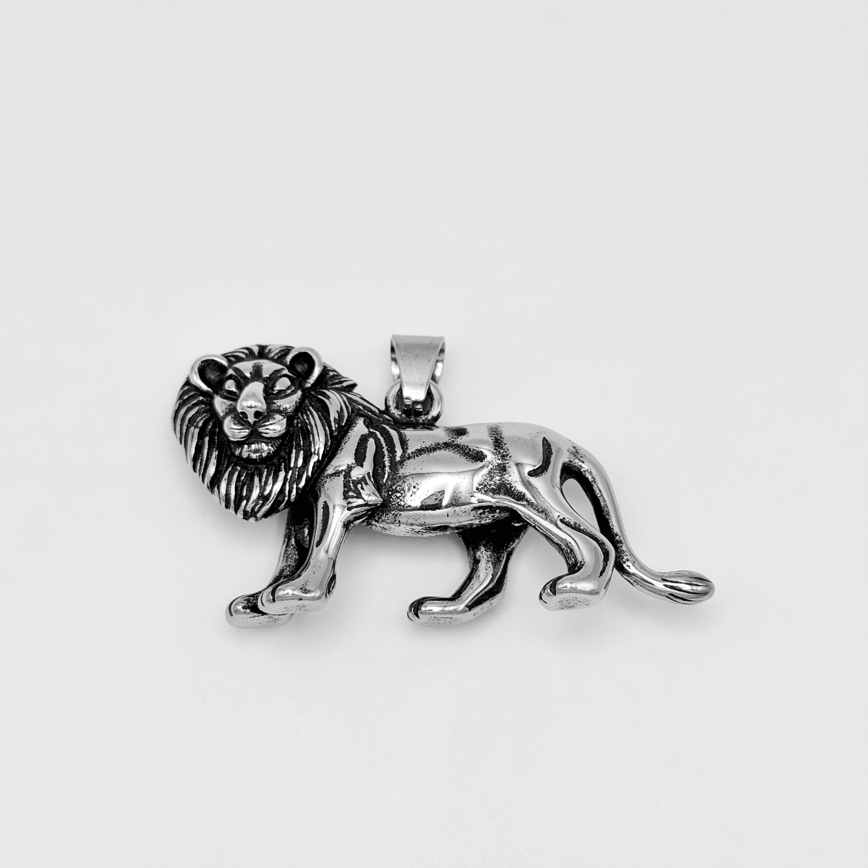 Pendant - Stainless Steel - PDS-2047