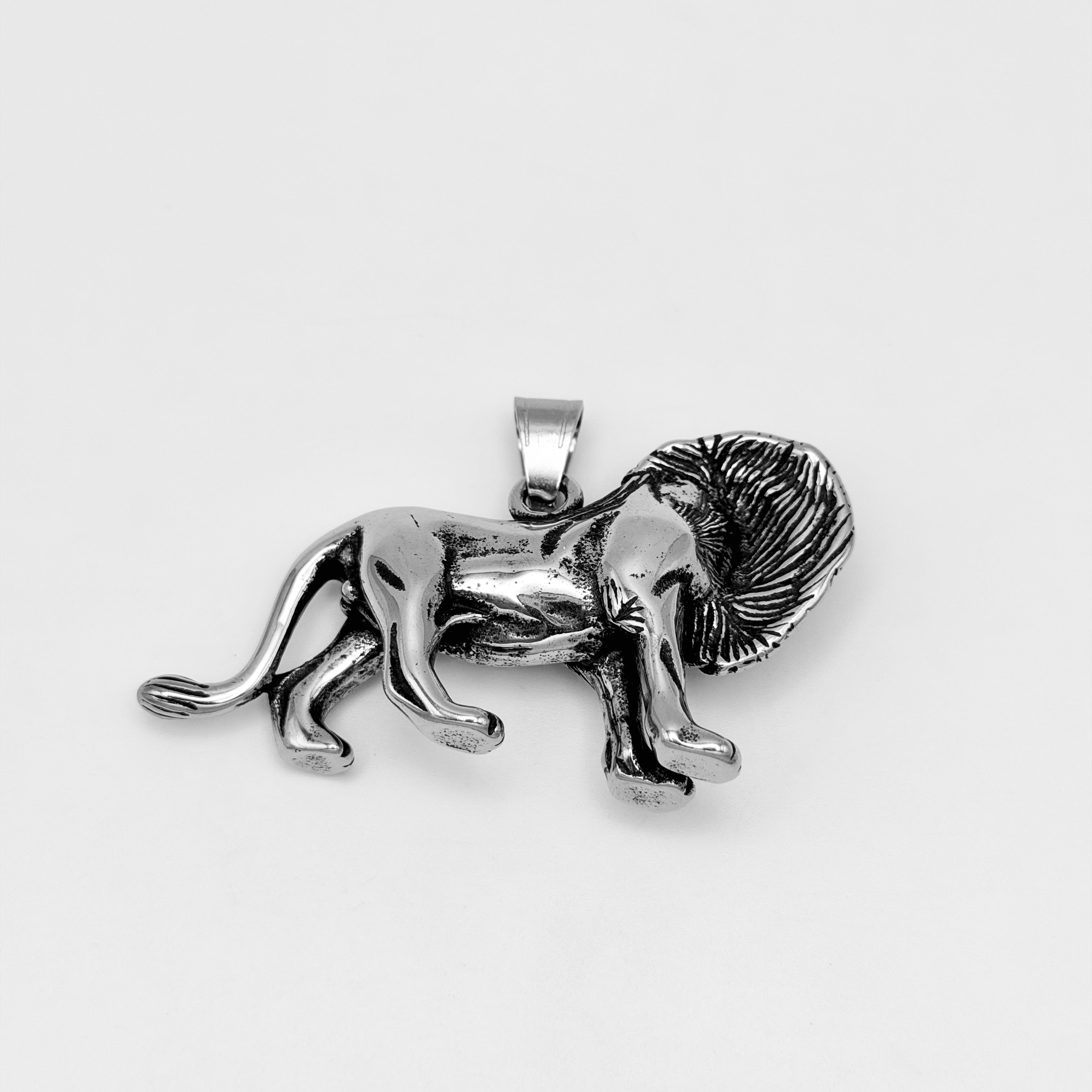 Pendant - Stainless Steel - PDS-2047