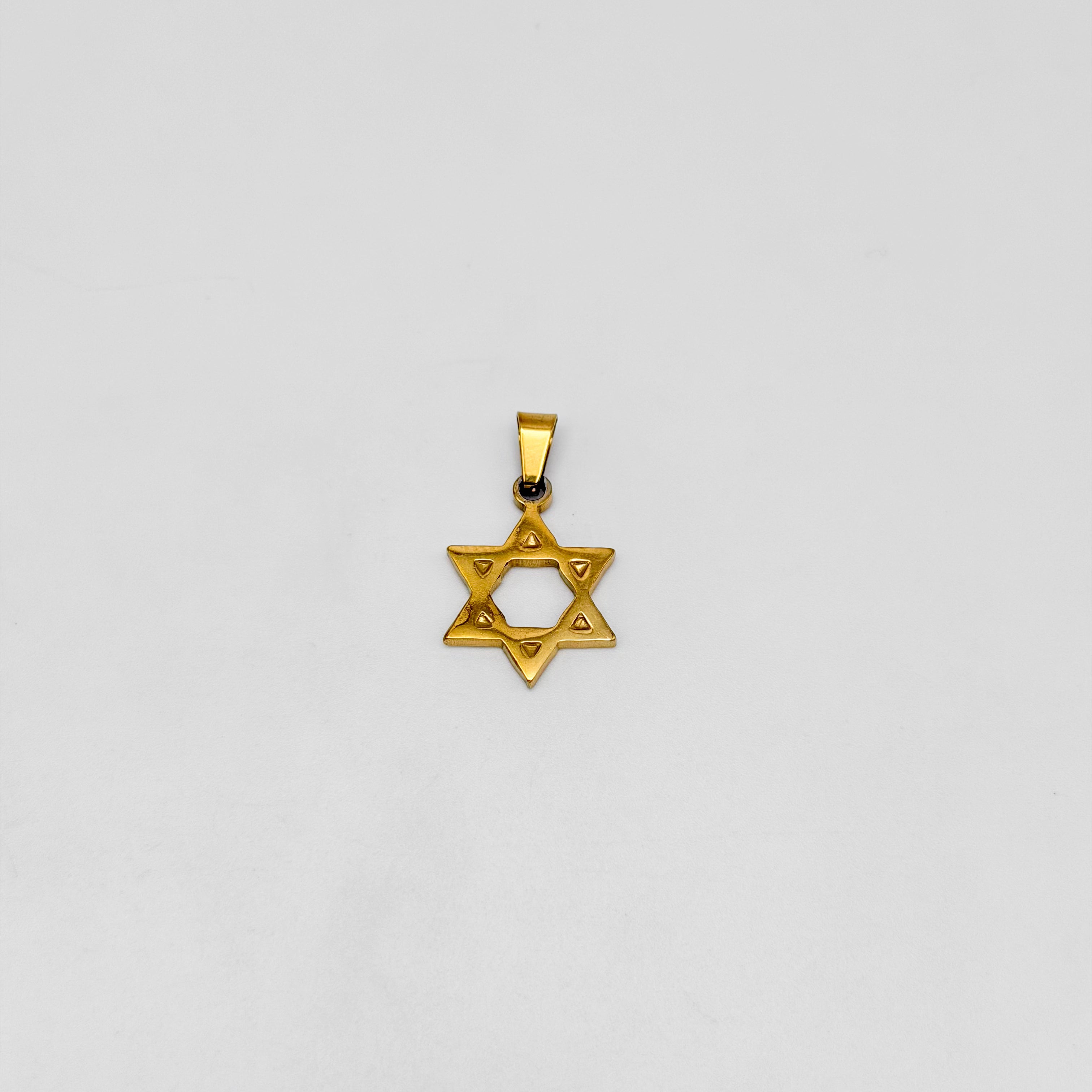 Pendant - Stainless Steel - PDS-3084
