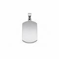 Pendant - Stainless Steel - PDS-3300