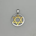 Pendant - Stainless Steel - PDS-3385
