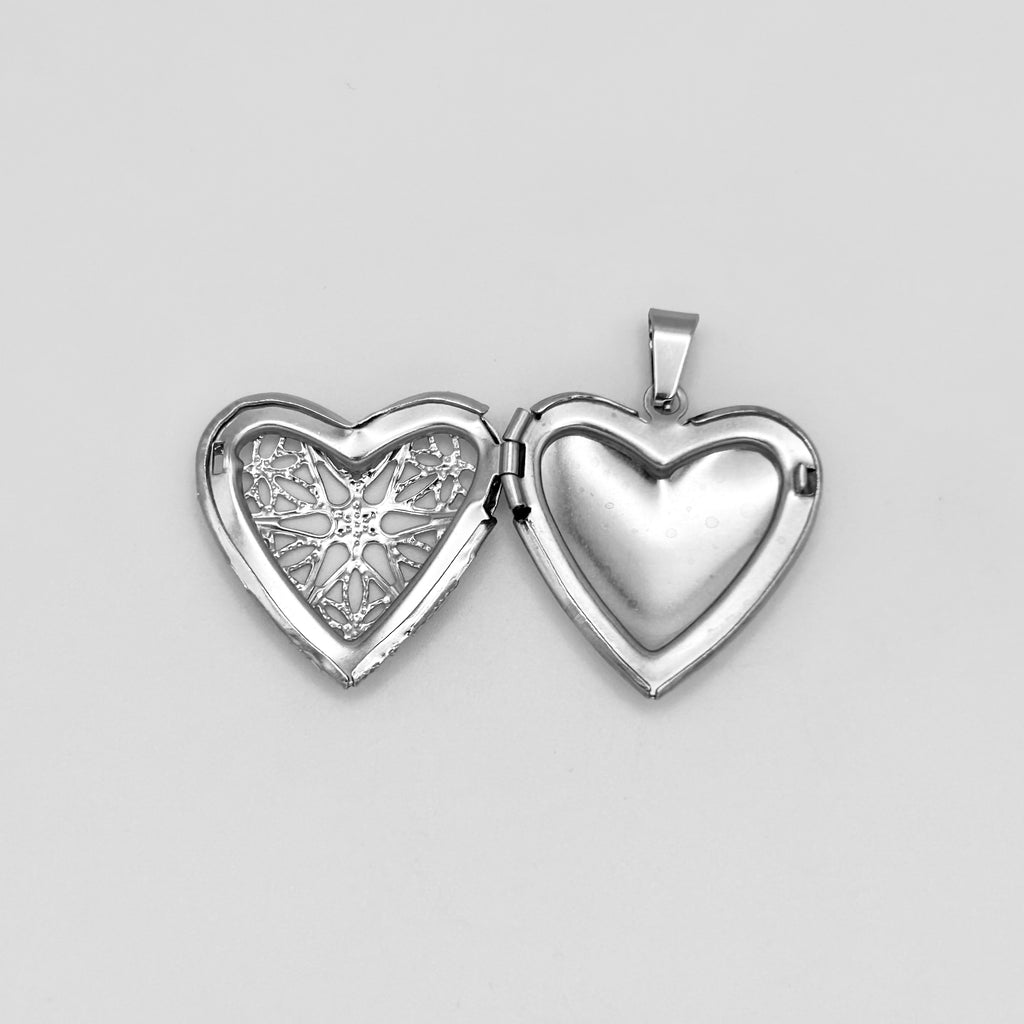 Pendant - Stainless Steel - PDS-3420