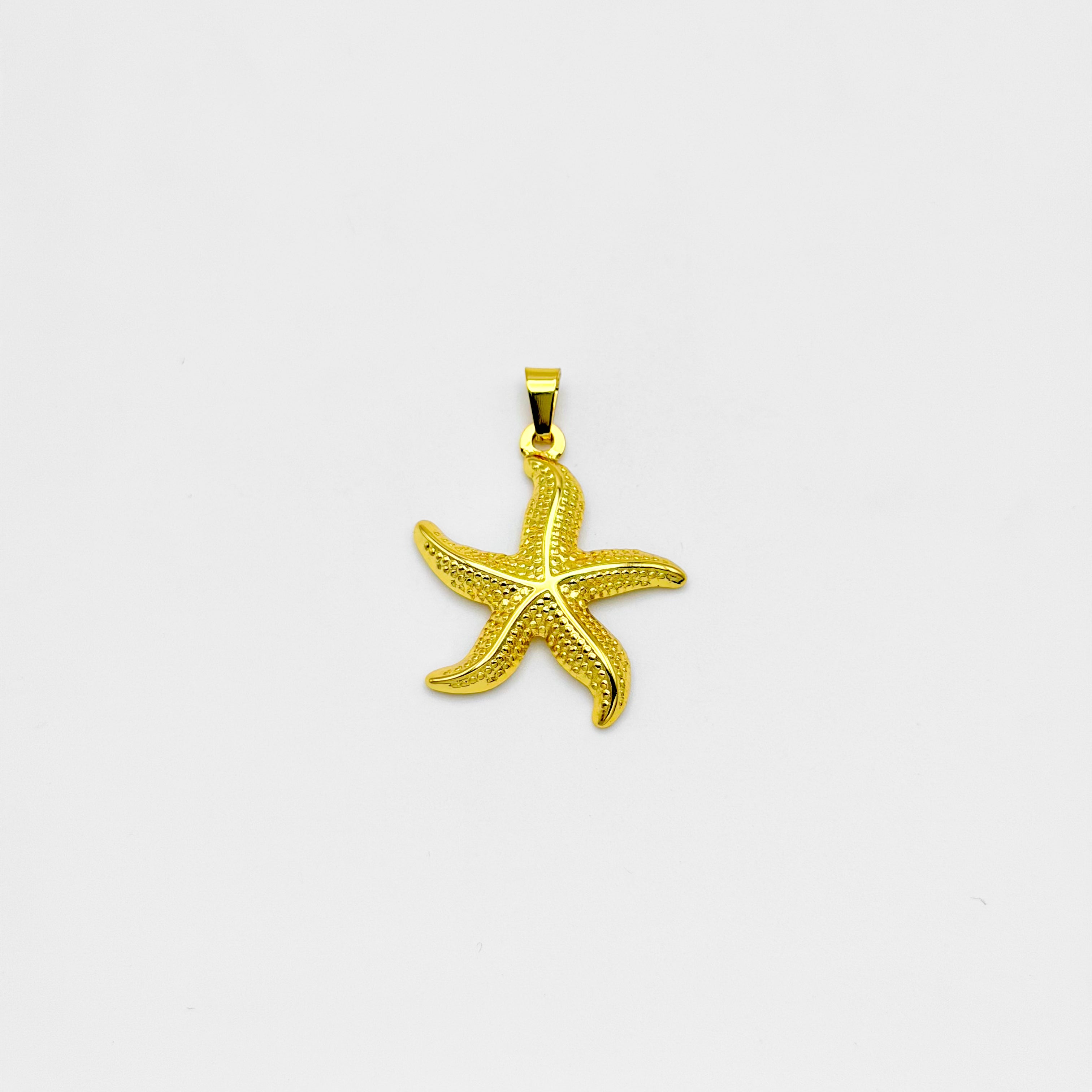 Pendant - Stainless Steel - PDS-3498