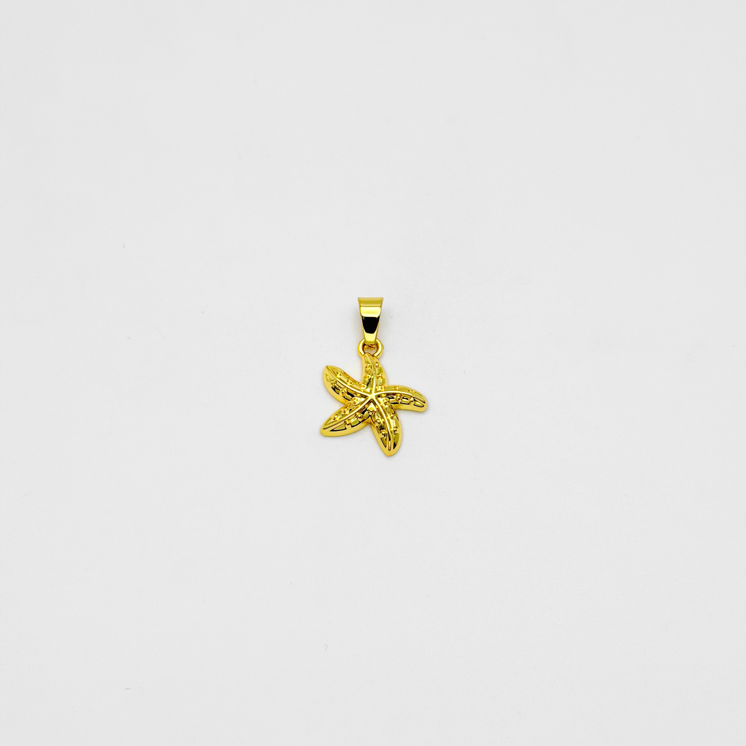 Pendant - Stainless Steel - PDS-3510