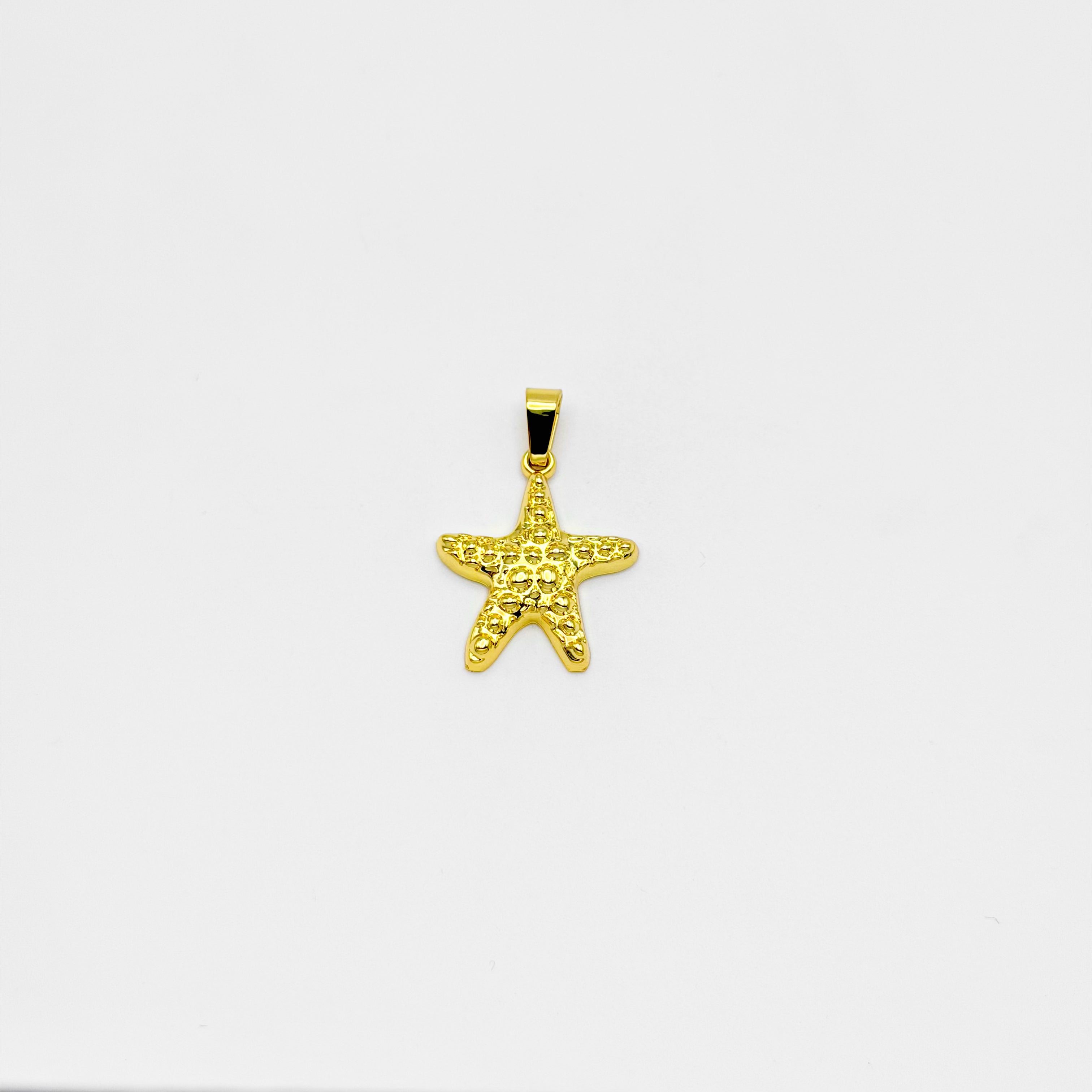 Pendant - Stainless Steel - PDS-3511