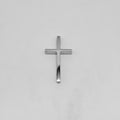 Pendant - Stainless Steel - PDS-3711