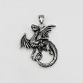 Pendant - Stainless Steel - PDS-4004