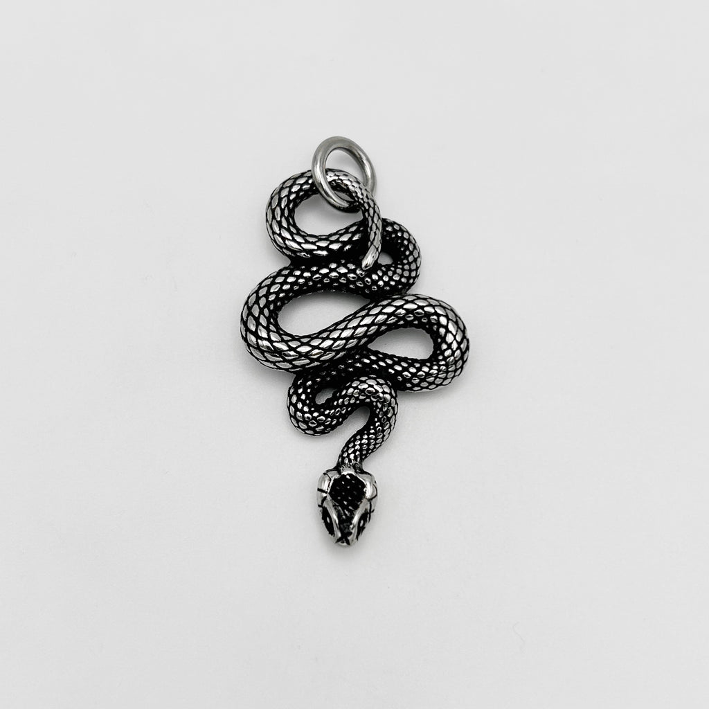 Pendant - Stainless Steel - PDS-8051