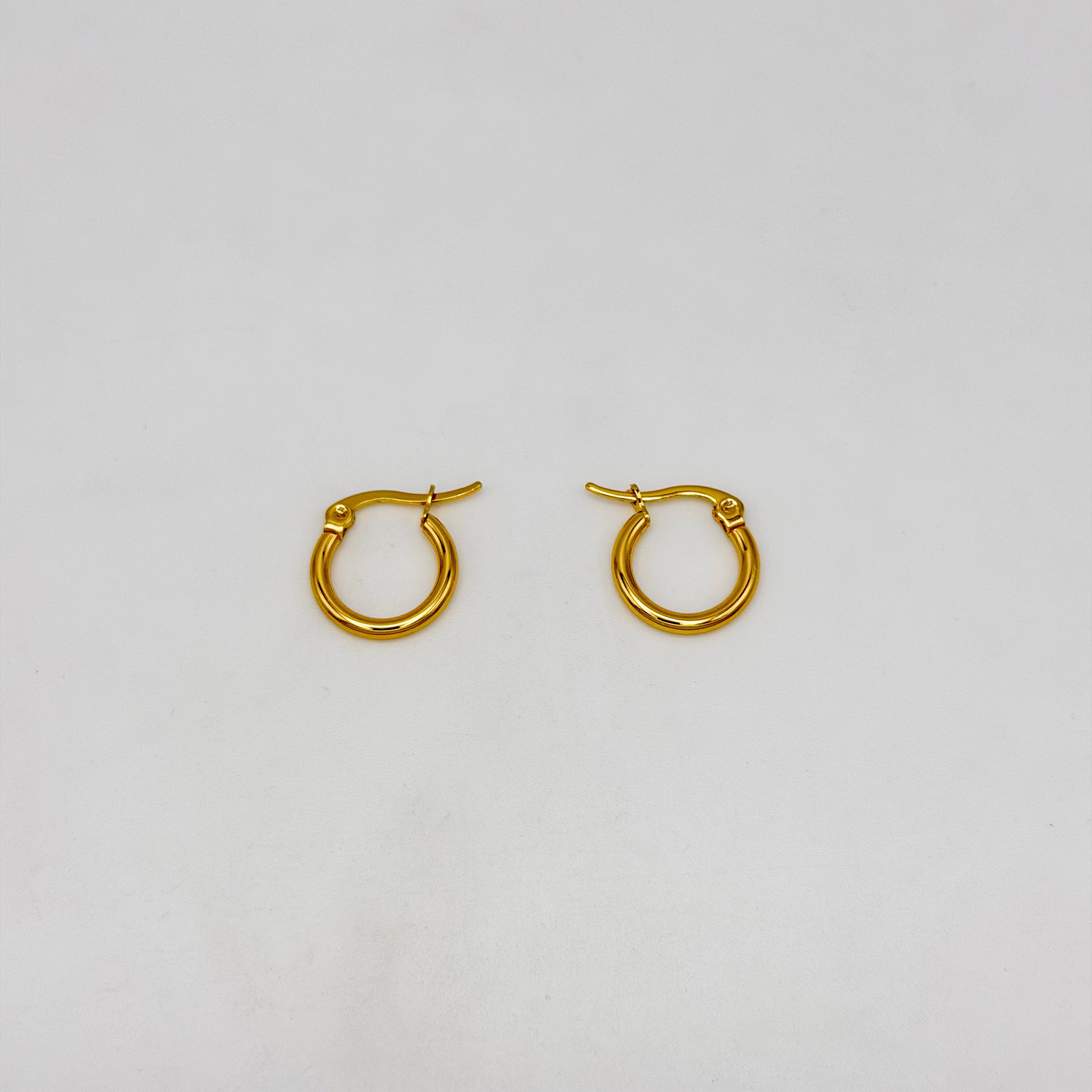 Hoop Earrings - Stainless Steel - UES-1034