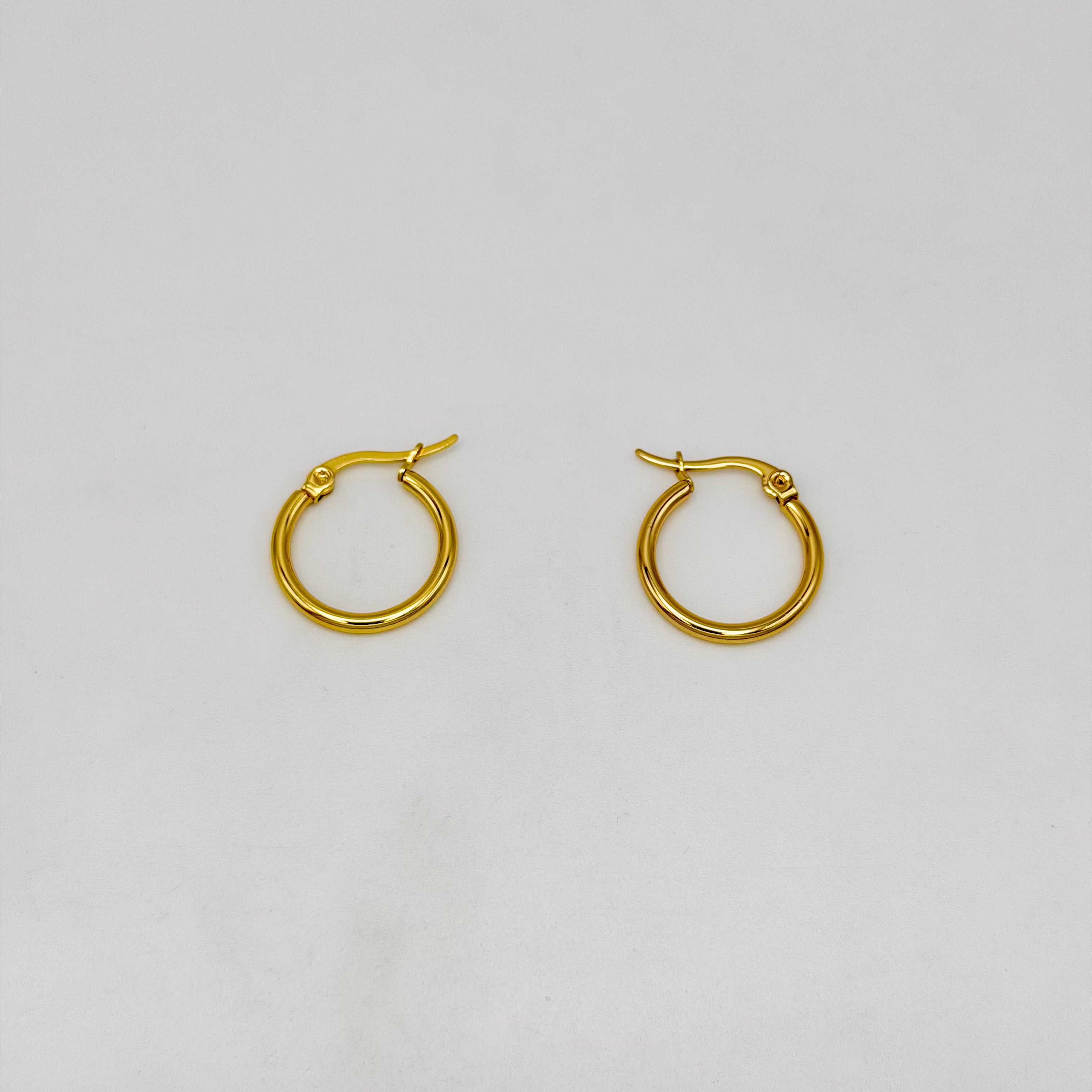 Hoop Earrings - Stainless Steel - UES-1034