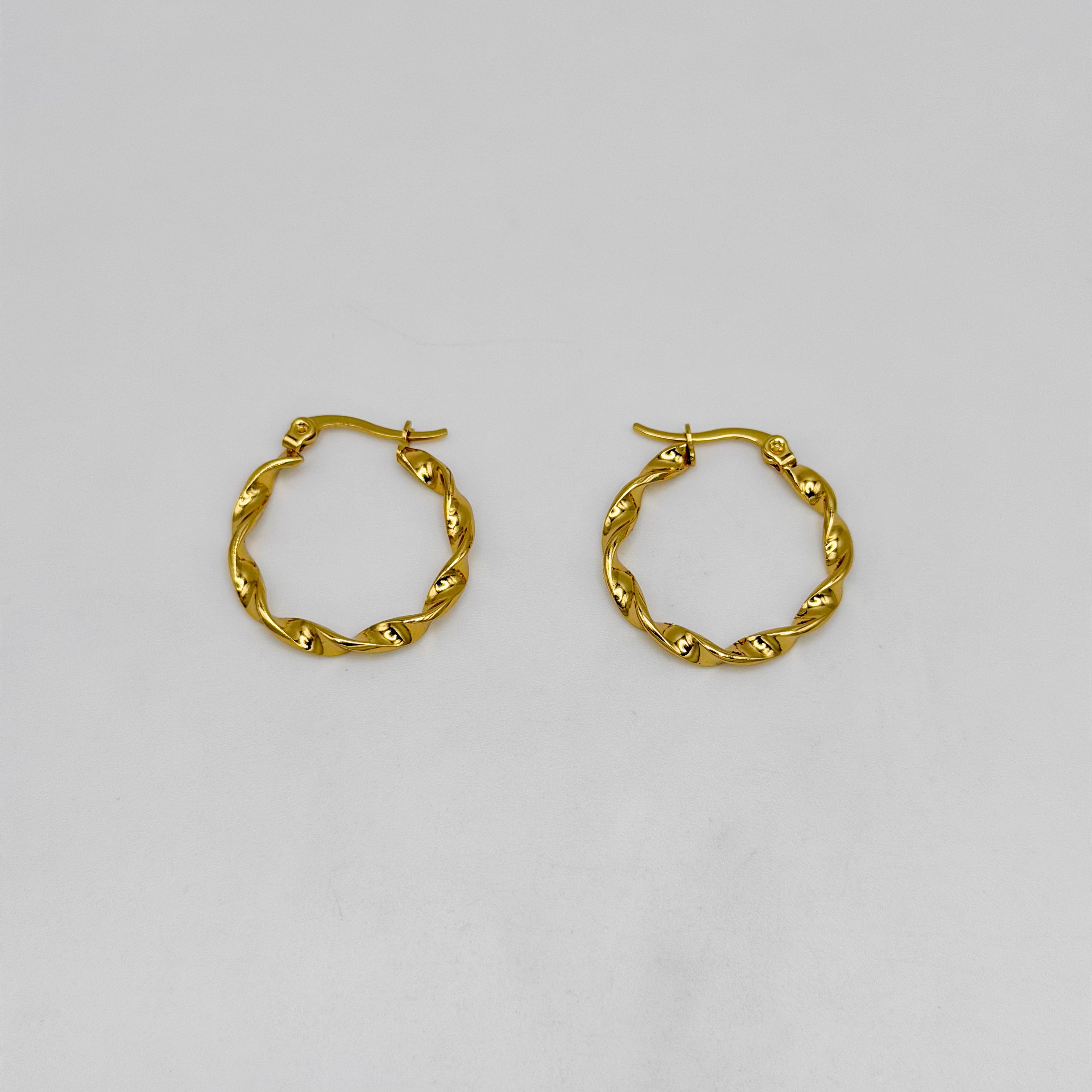 Hoop Earrings - Stainless Steel - UES-1047