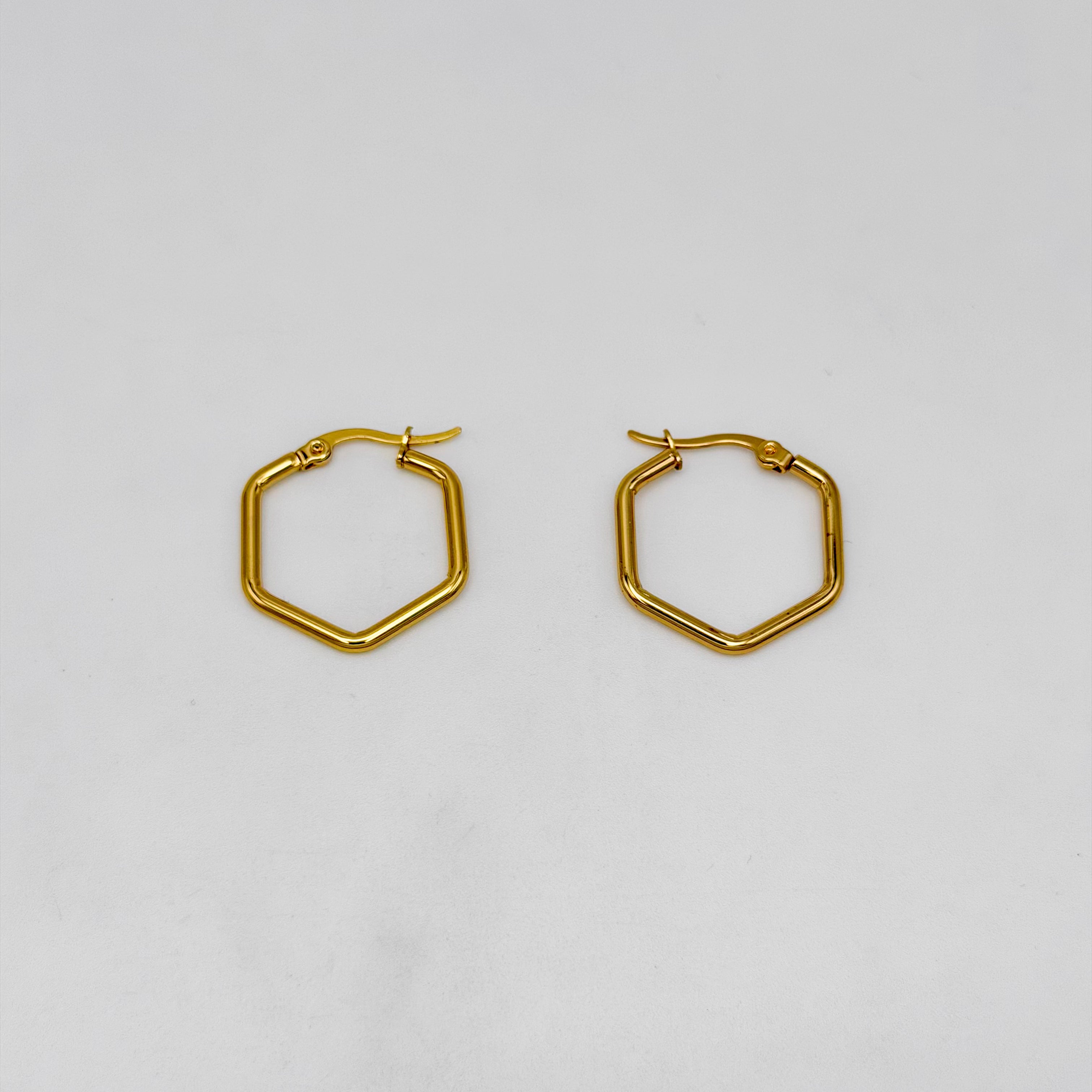 Hoop Earrings - Stainless Steel - UES-1053