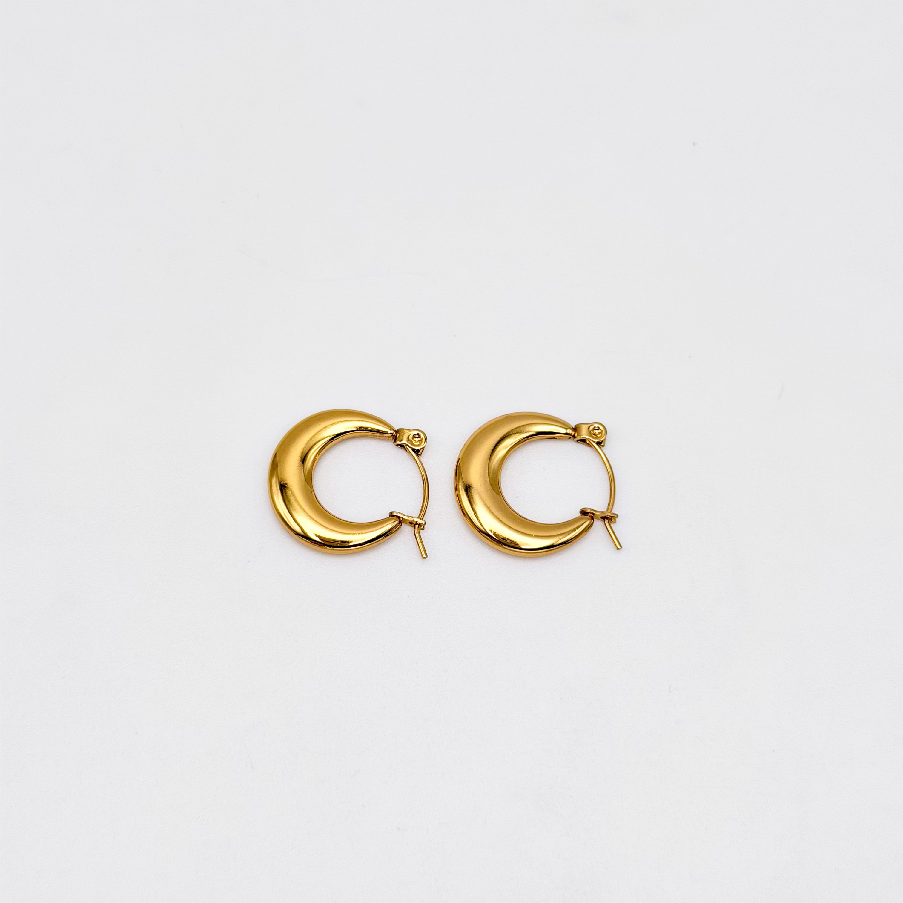 Hoop Earrings - Stainless Steel - UES-1058